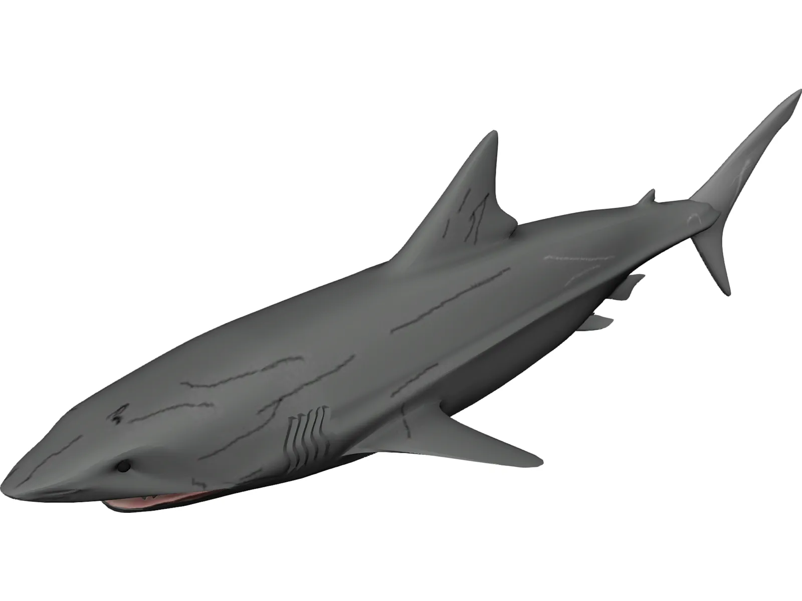 Great White Shark 3D Model