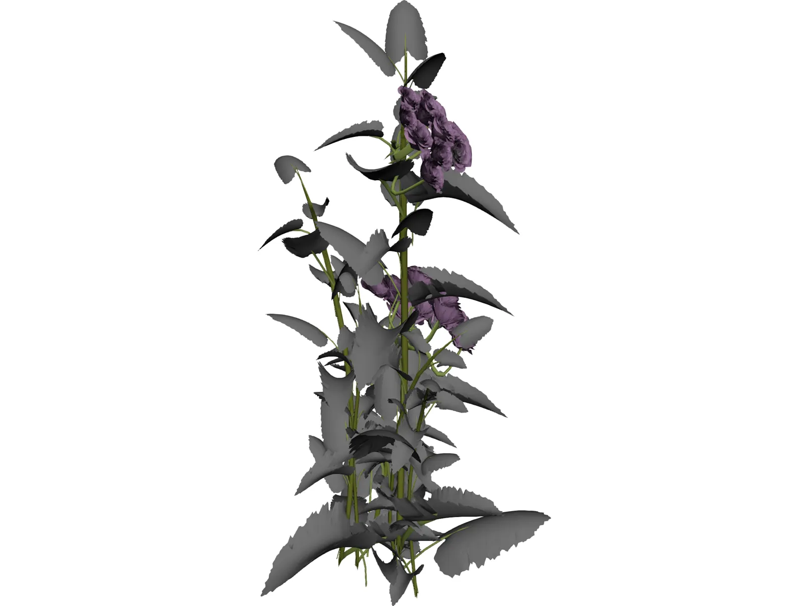 Plant 3D Model