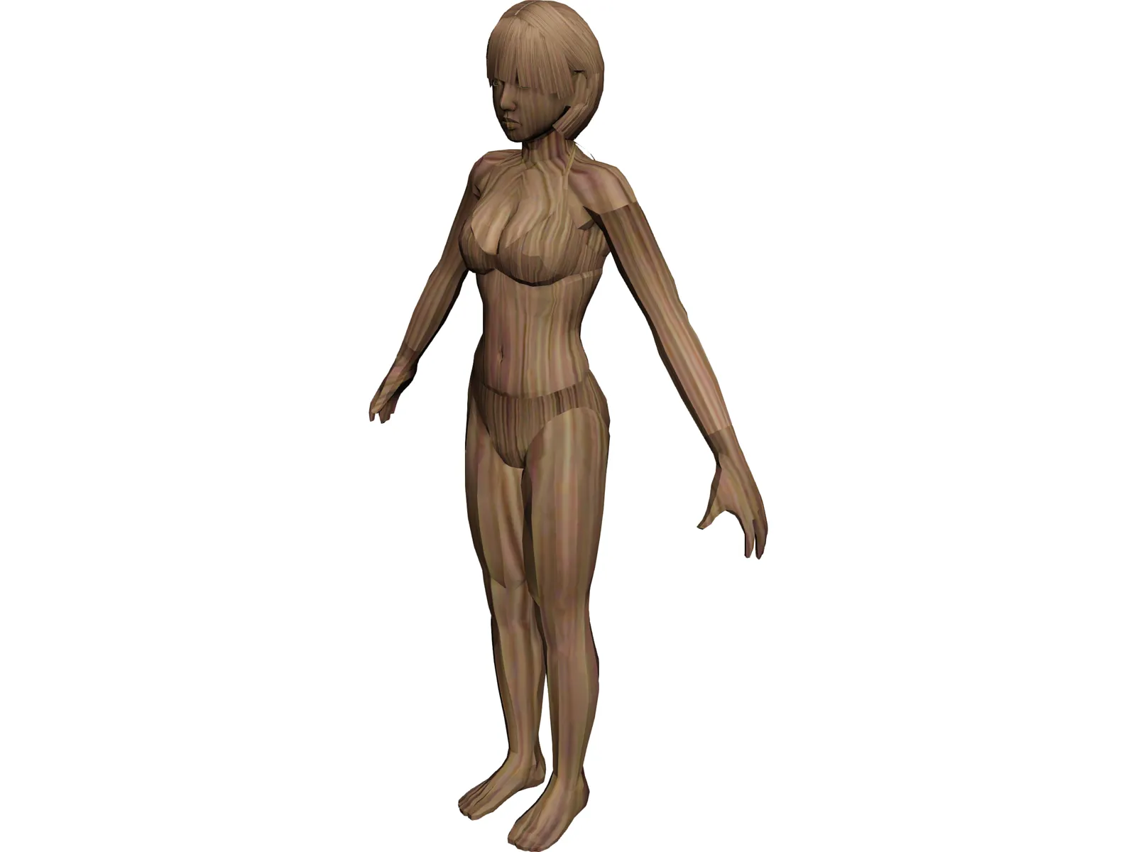 Bikini Girl 3D Model
