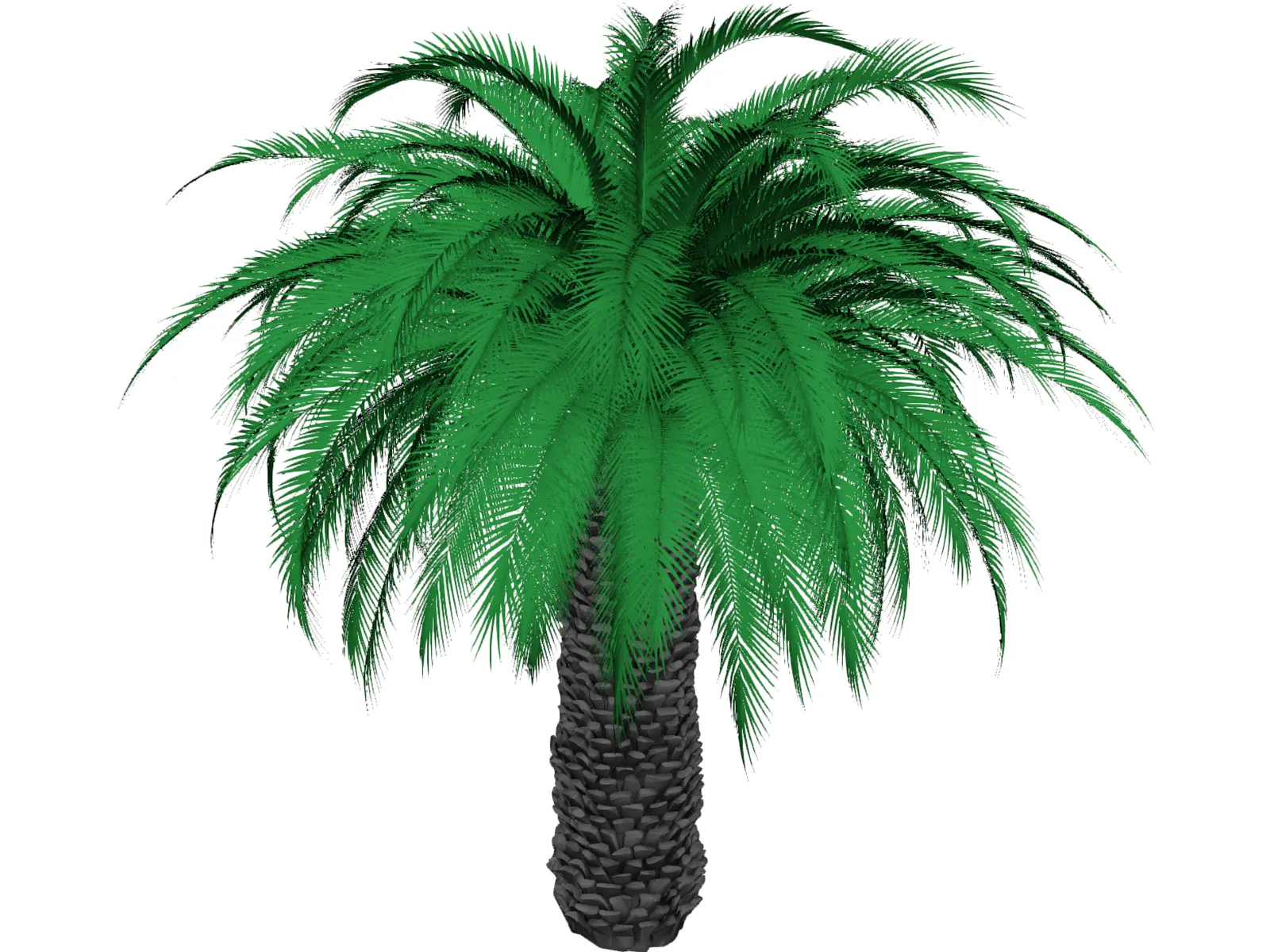 Tree 3D Model