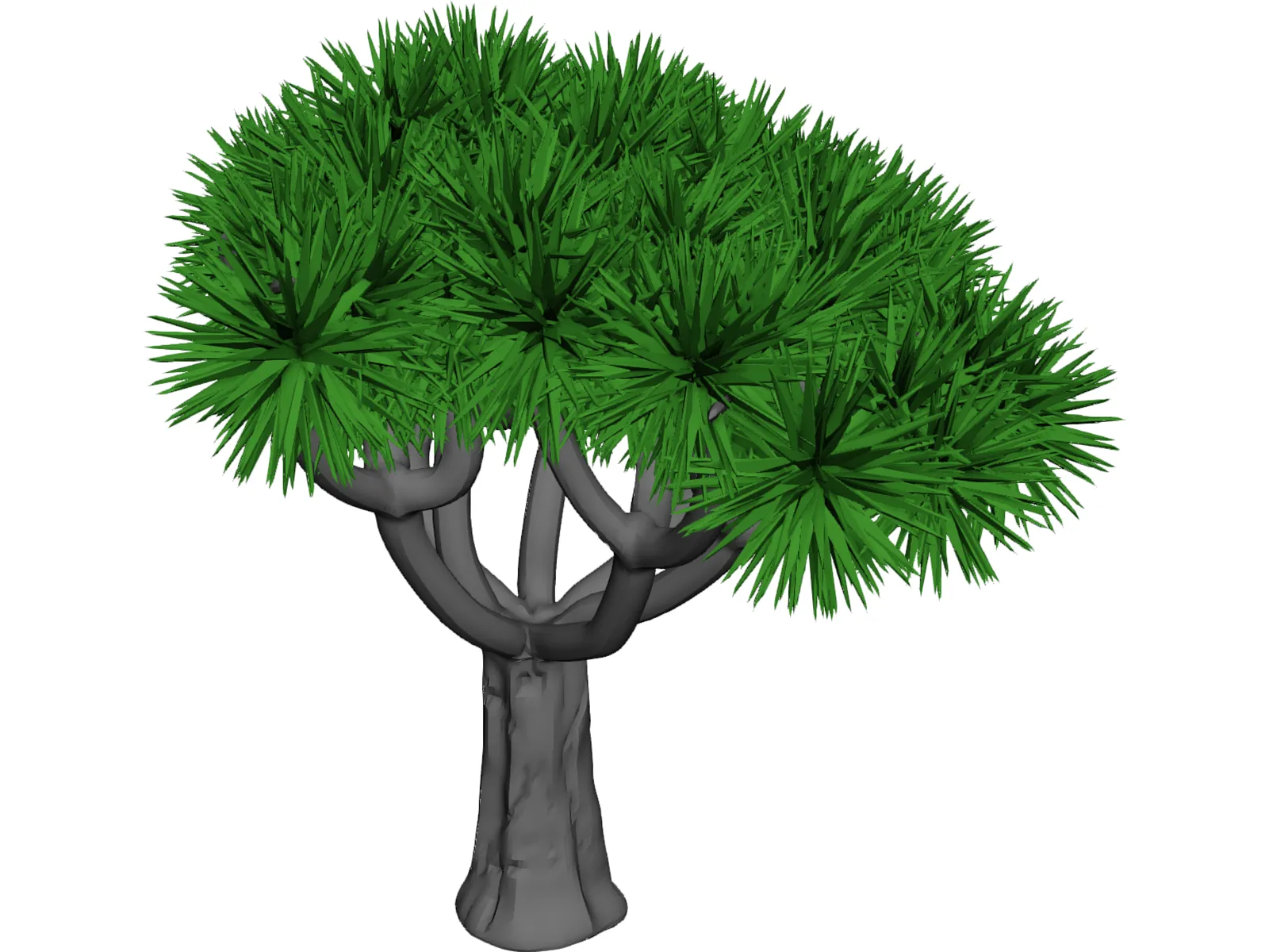 Tree 3D Model