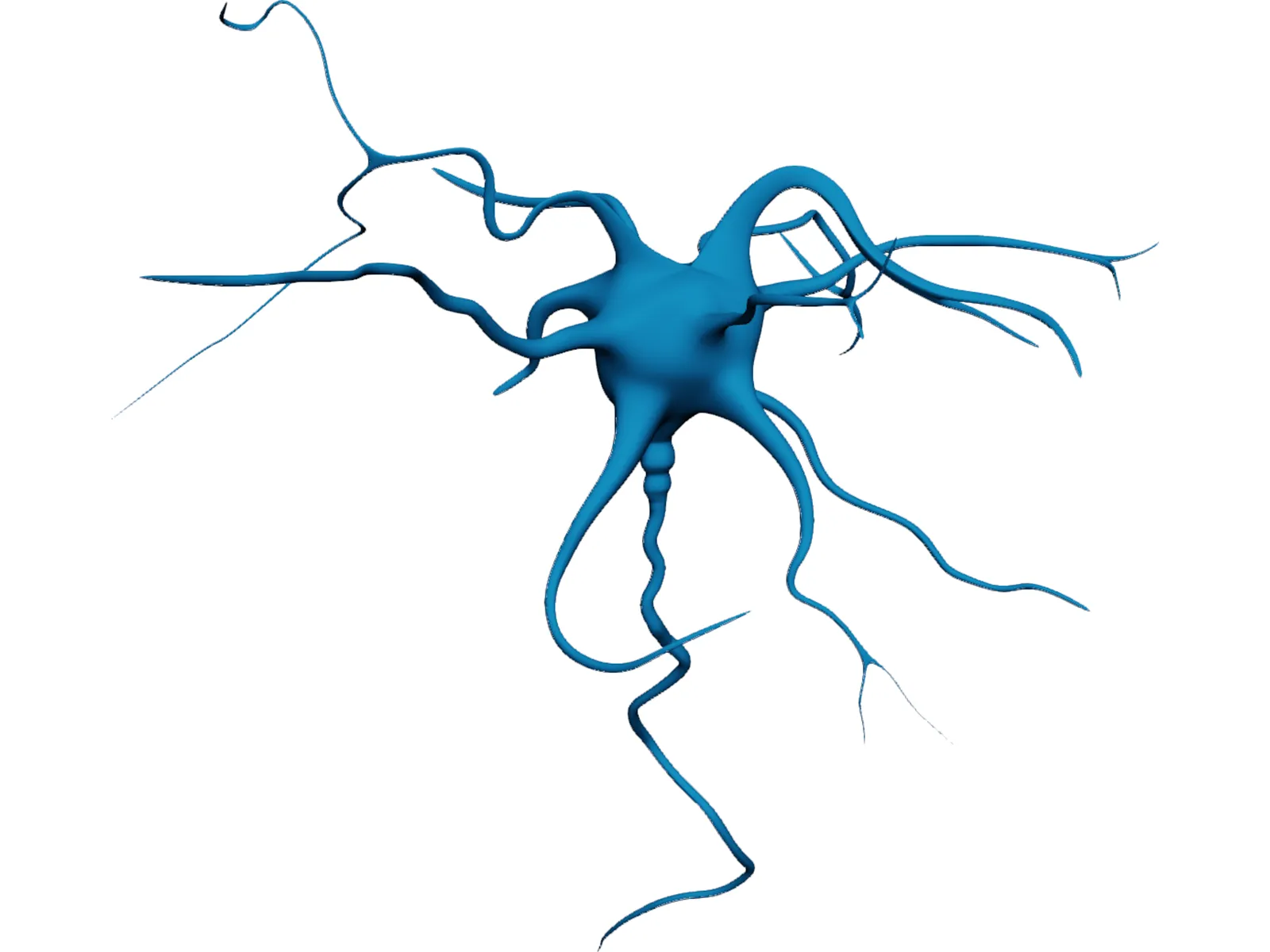 Neuron 3D Model