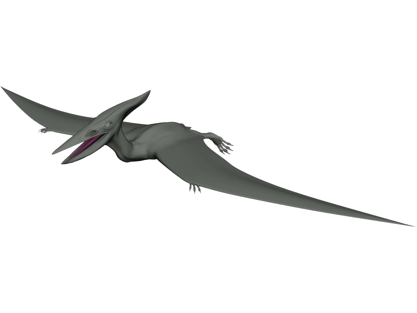 Pterodactyl 3D Model