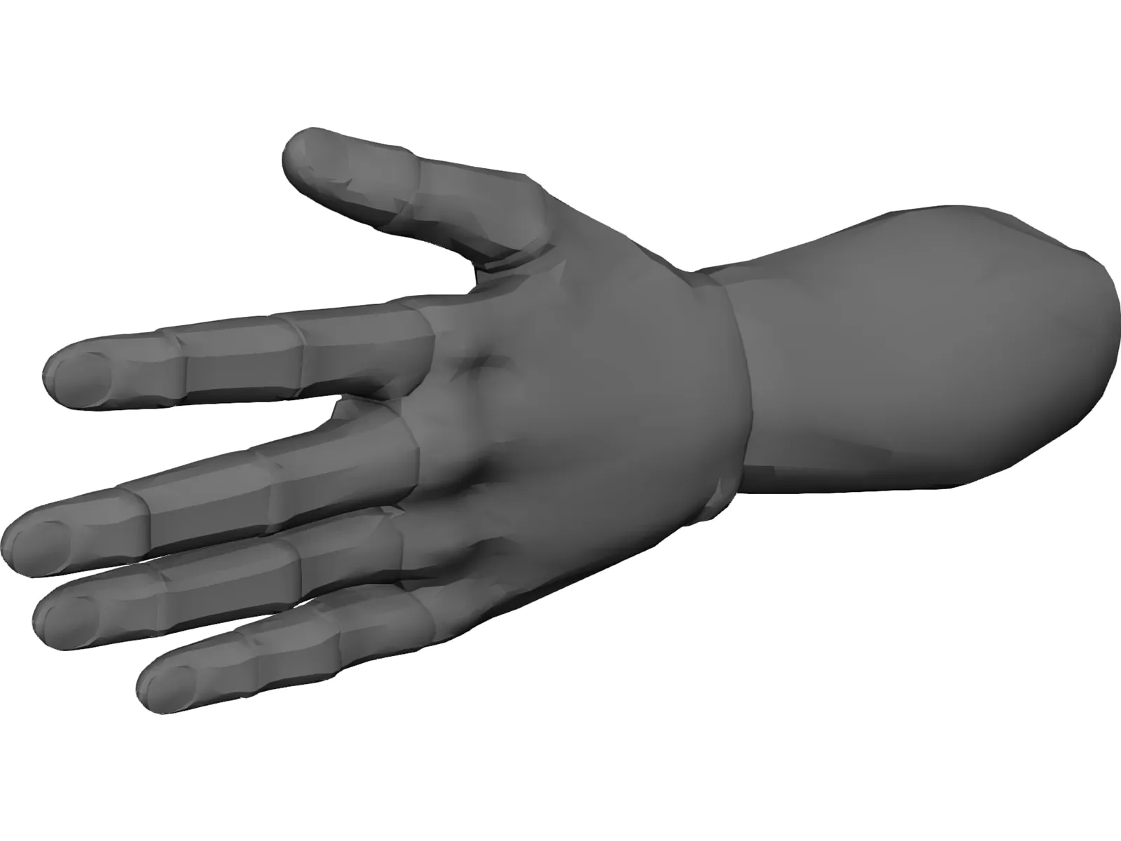 Hand Male 3D Model