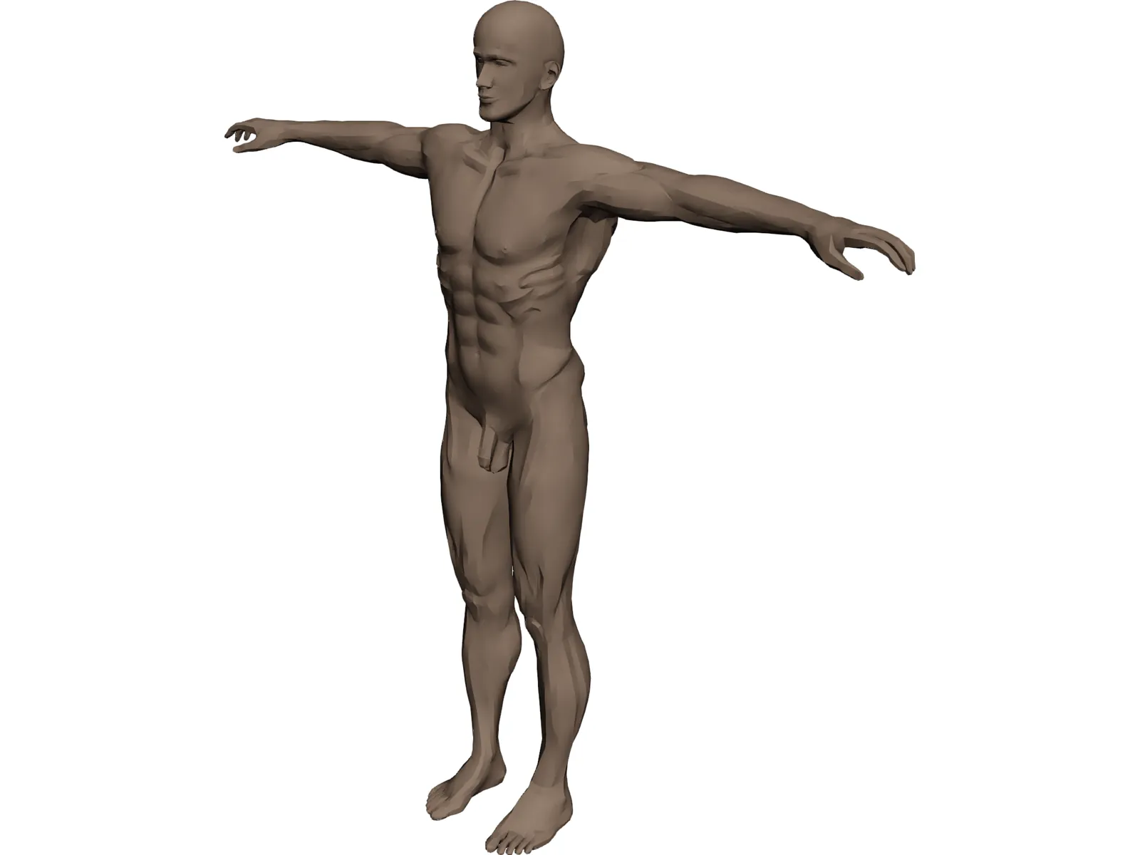 Man 3D Model