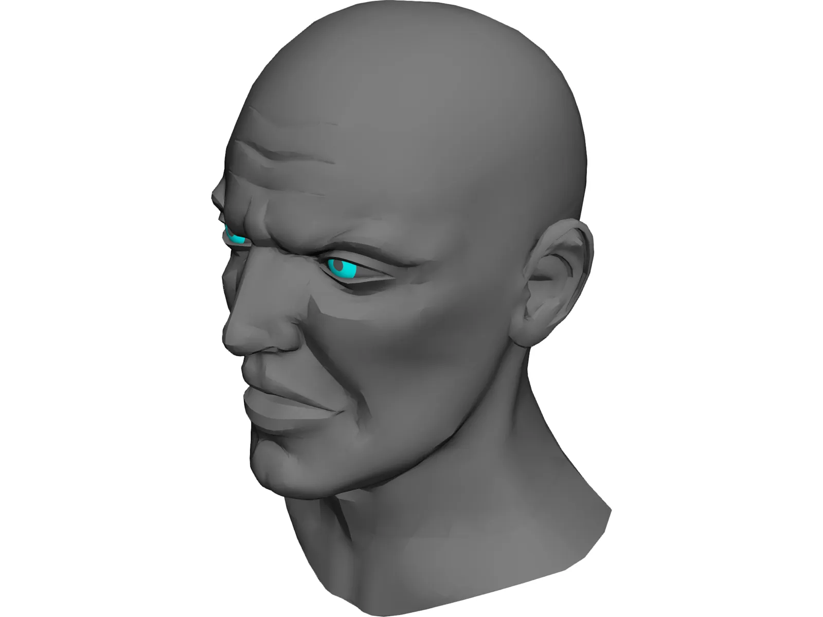 Head Male 3D Model