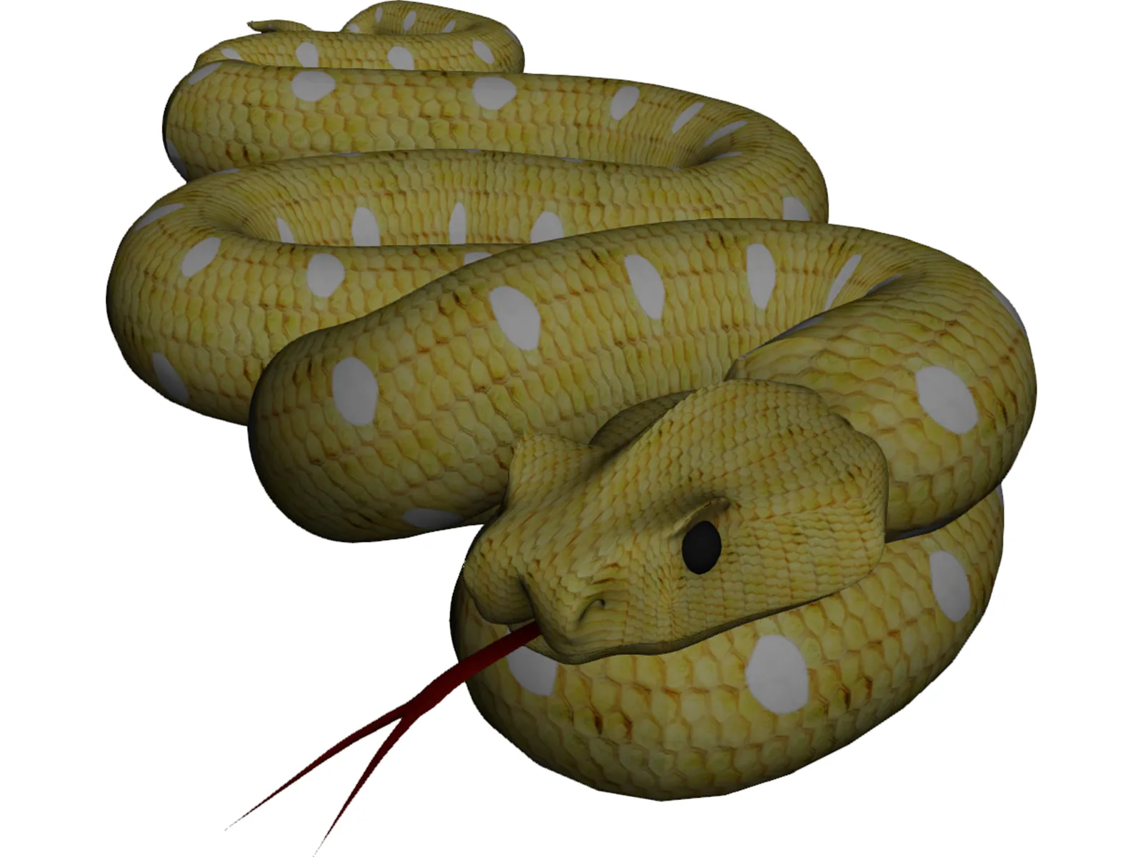 Snake Python 3d Model