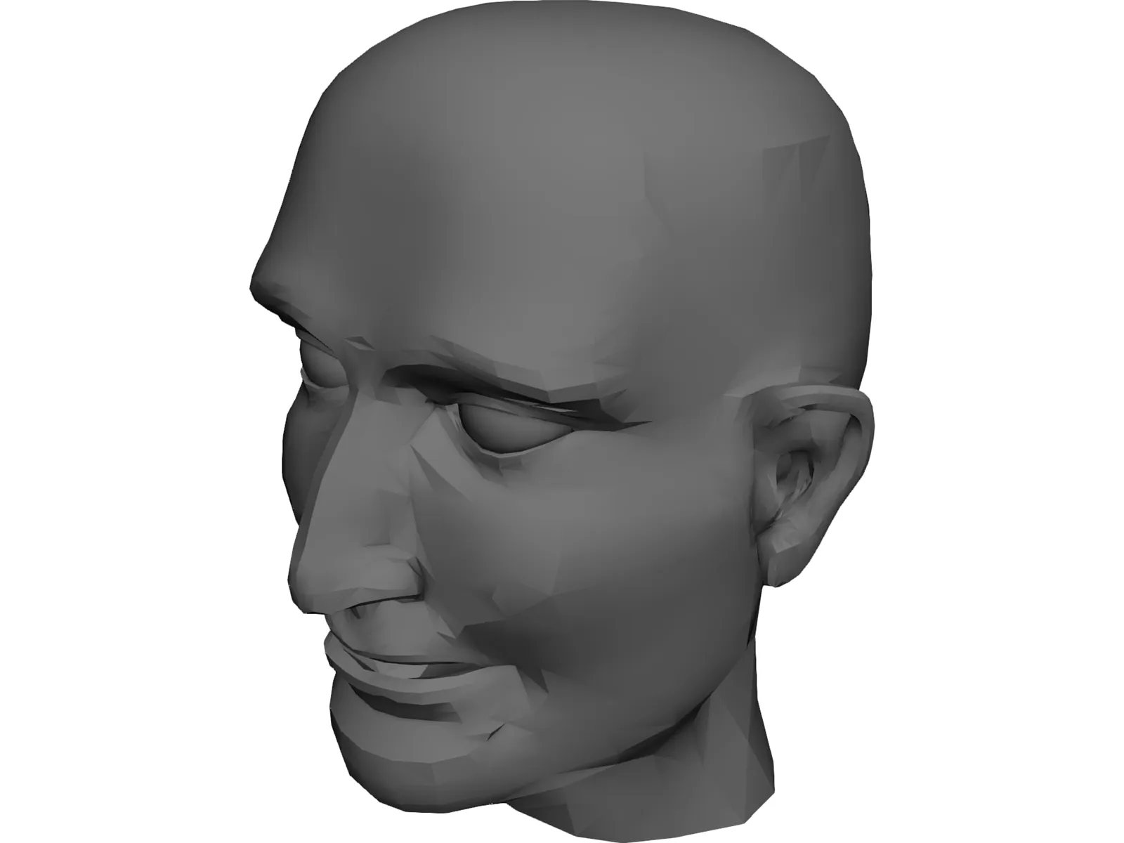 Head Male 3D Model