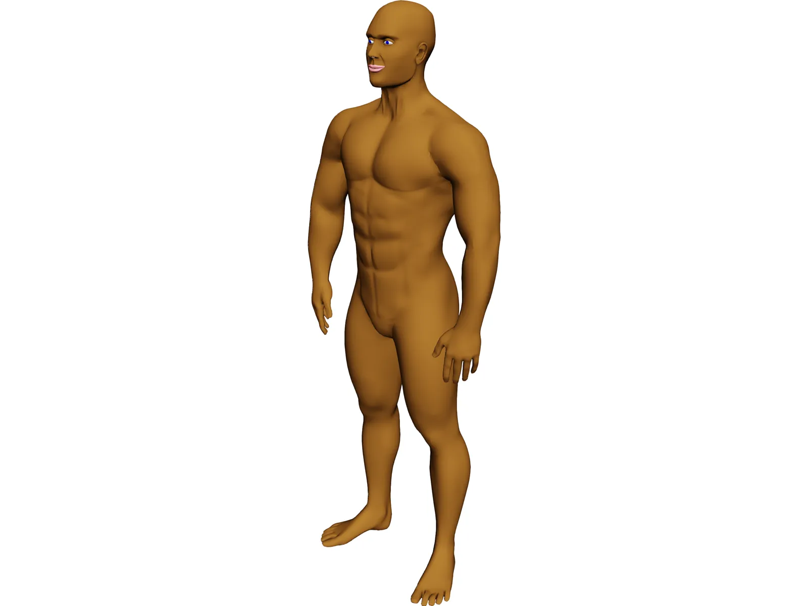 Muscle Man 3D Model