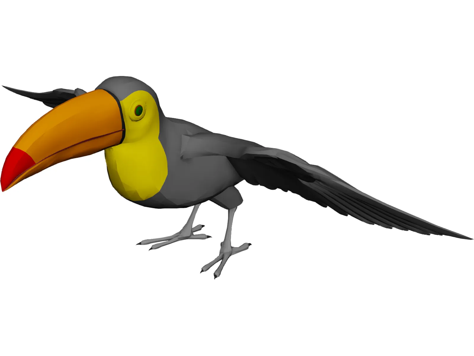 Toucan 3D Model