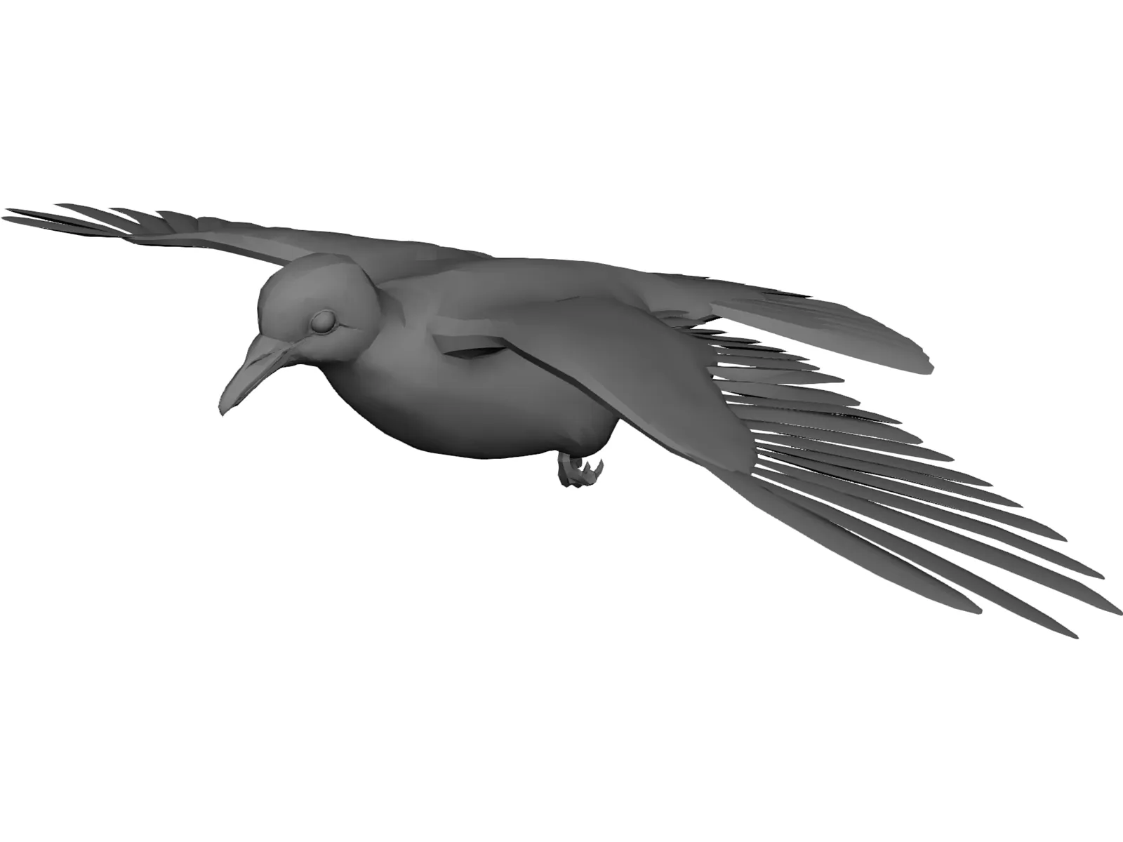 Dove 3D Model