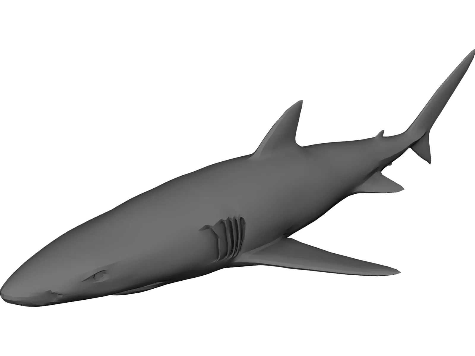 Blue Shark 3D Model