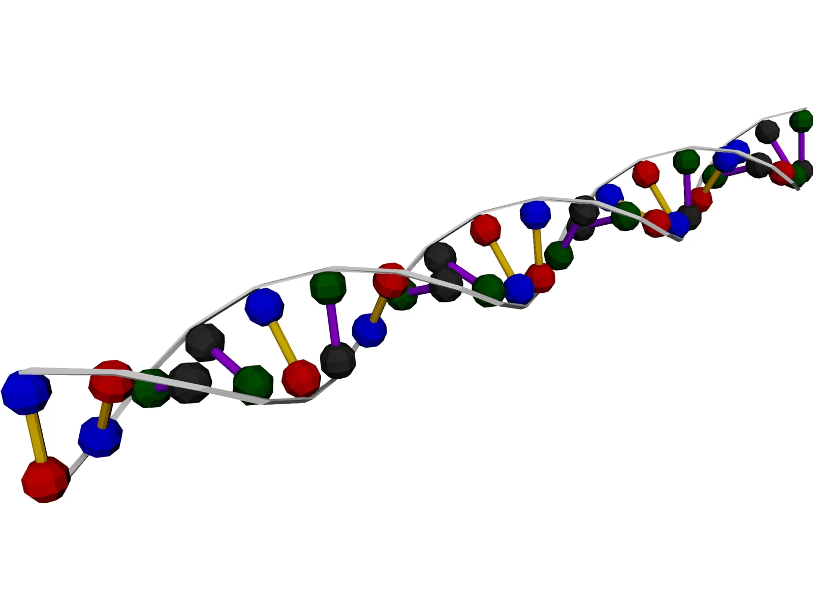 DNA Strand 3D Model