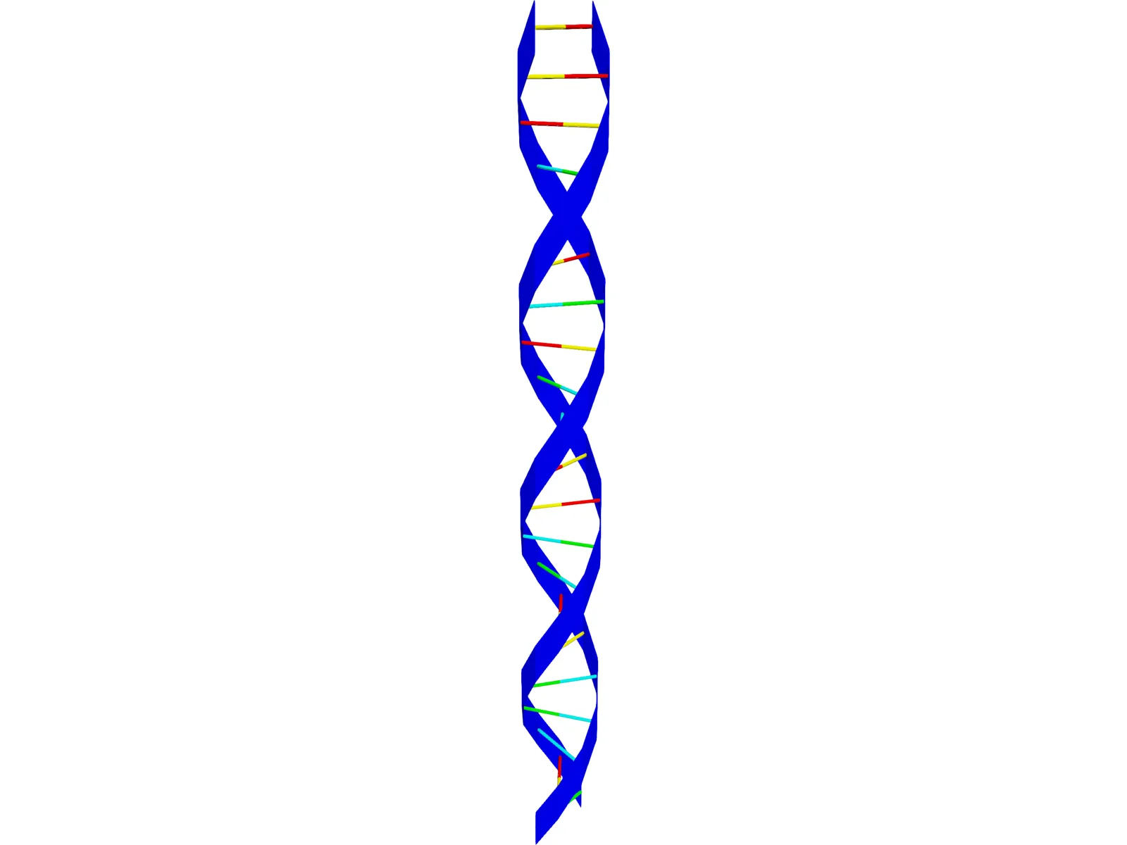 DNA Strand 3D Model