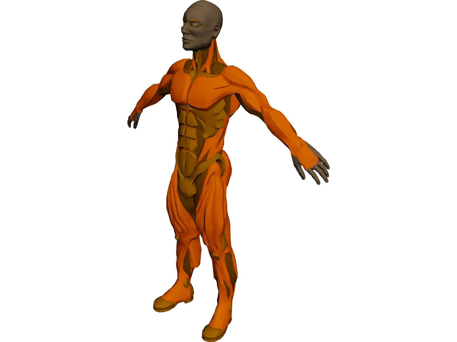 Muscle Man 3D Model