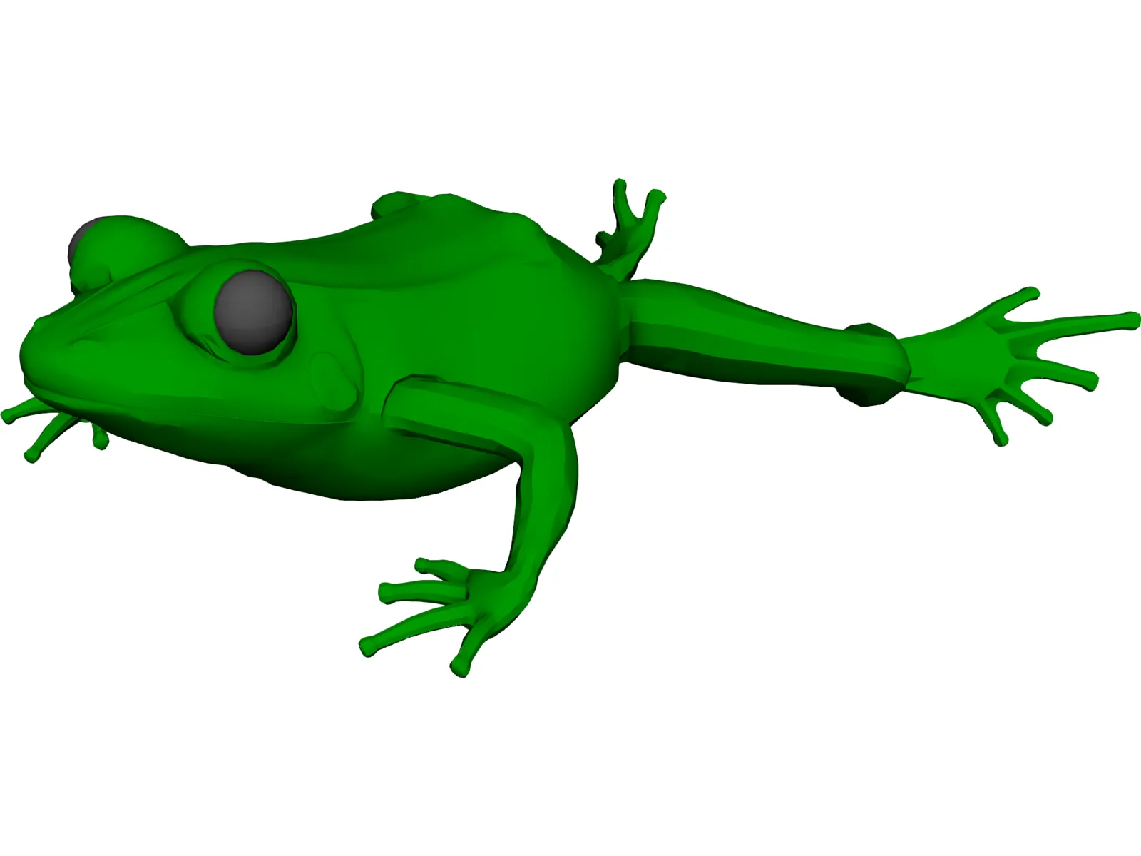 Frog 3D Model