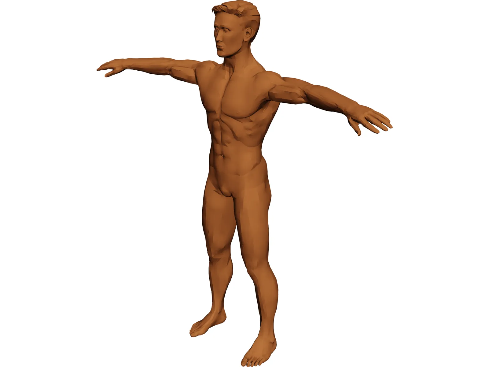 Man 3D Model