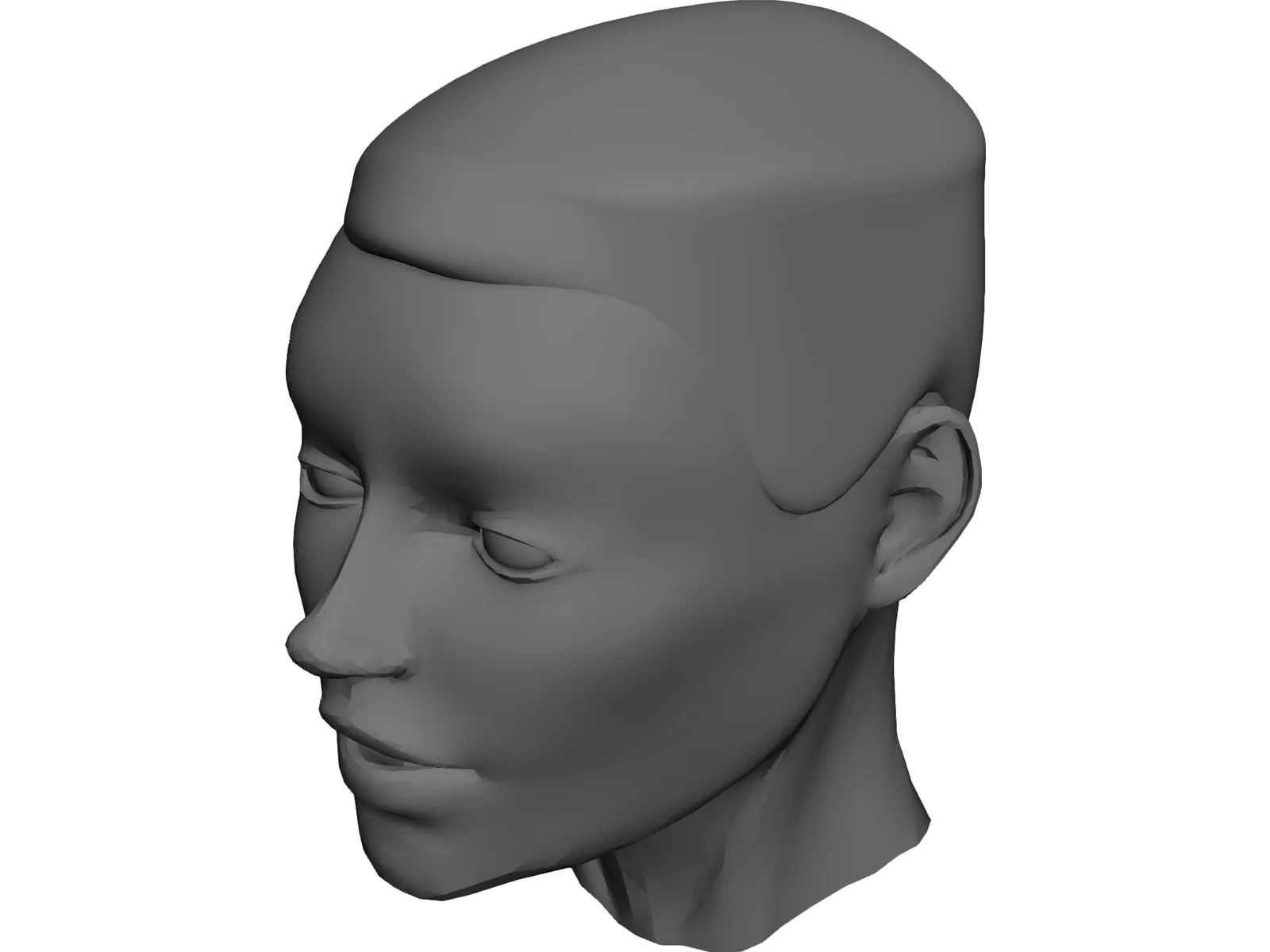 Head 3D Model