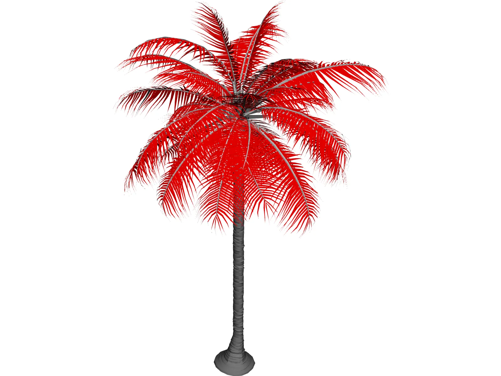 Palm Tree 3D Model