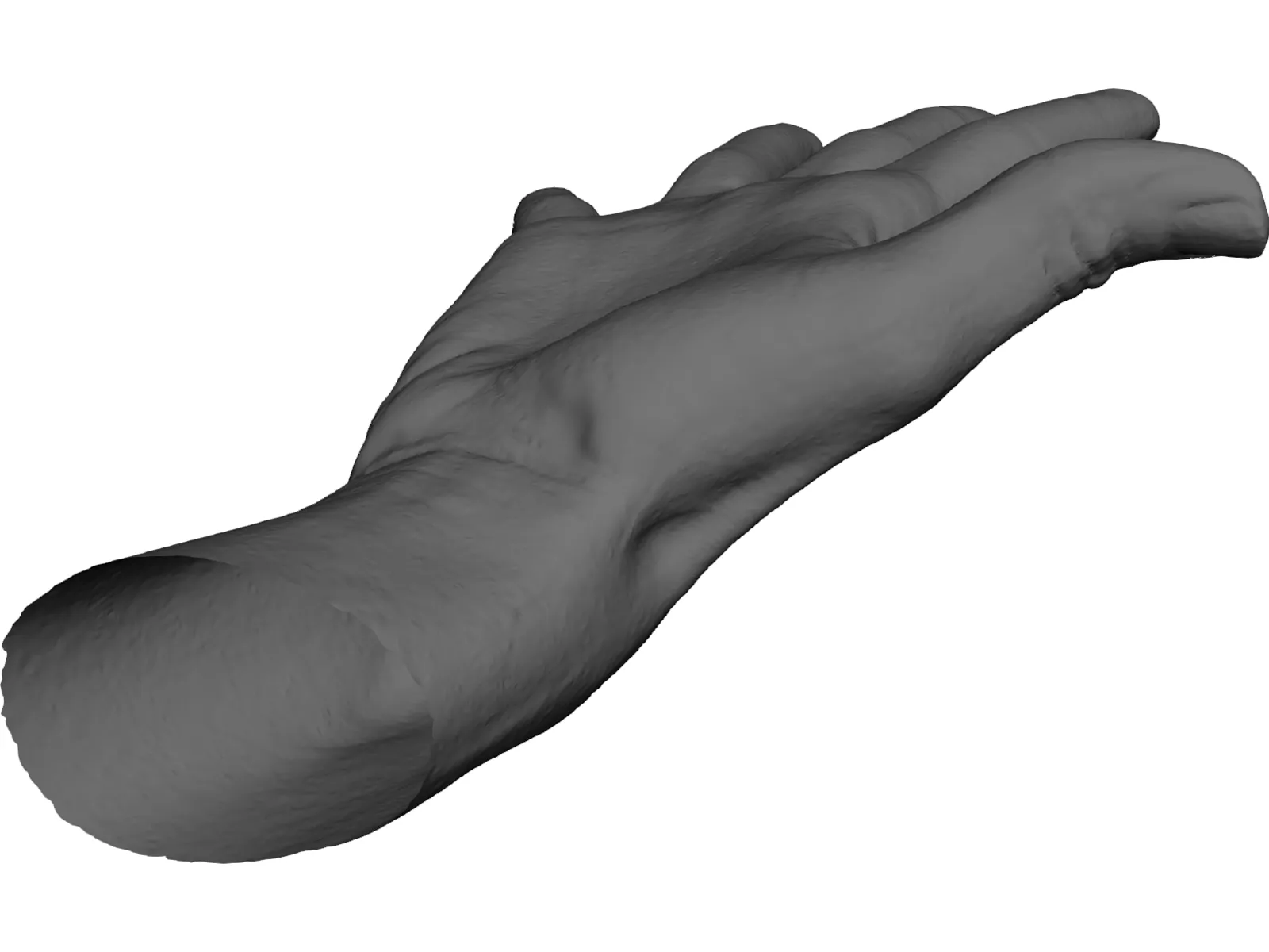 Open Hand 3D Model