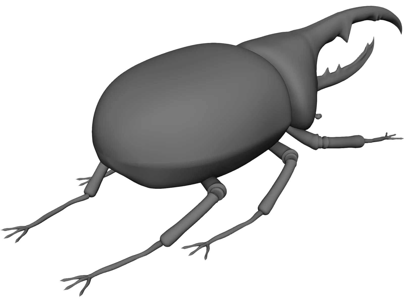 Hercules Beetle 3D Model