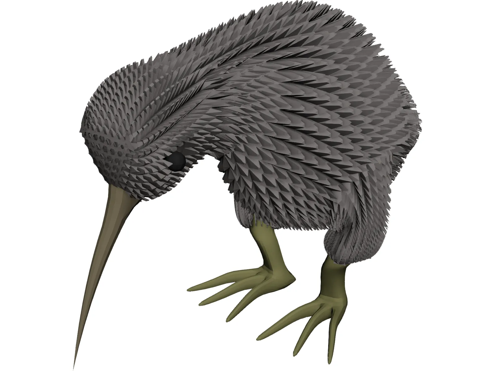 Kiwi Bird 3D Model