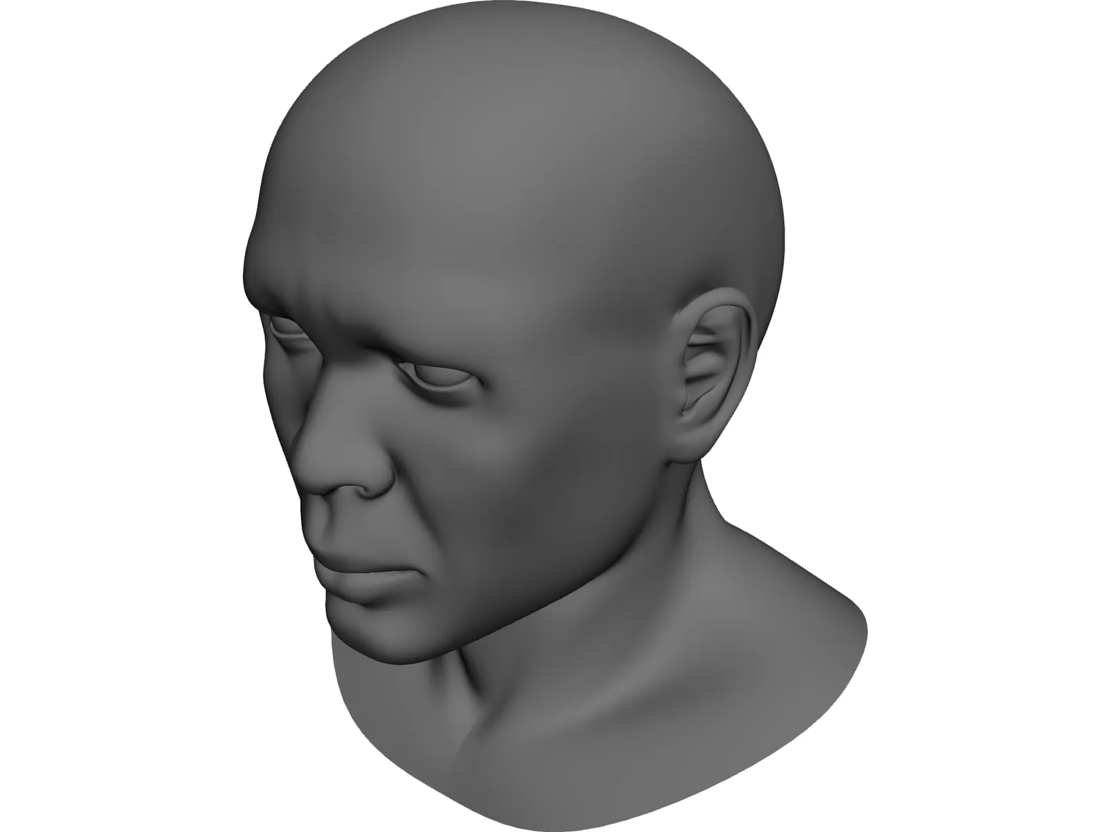 Samuel Head 3D Model