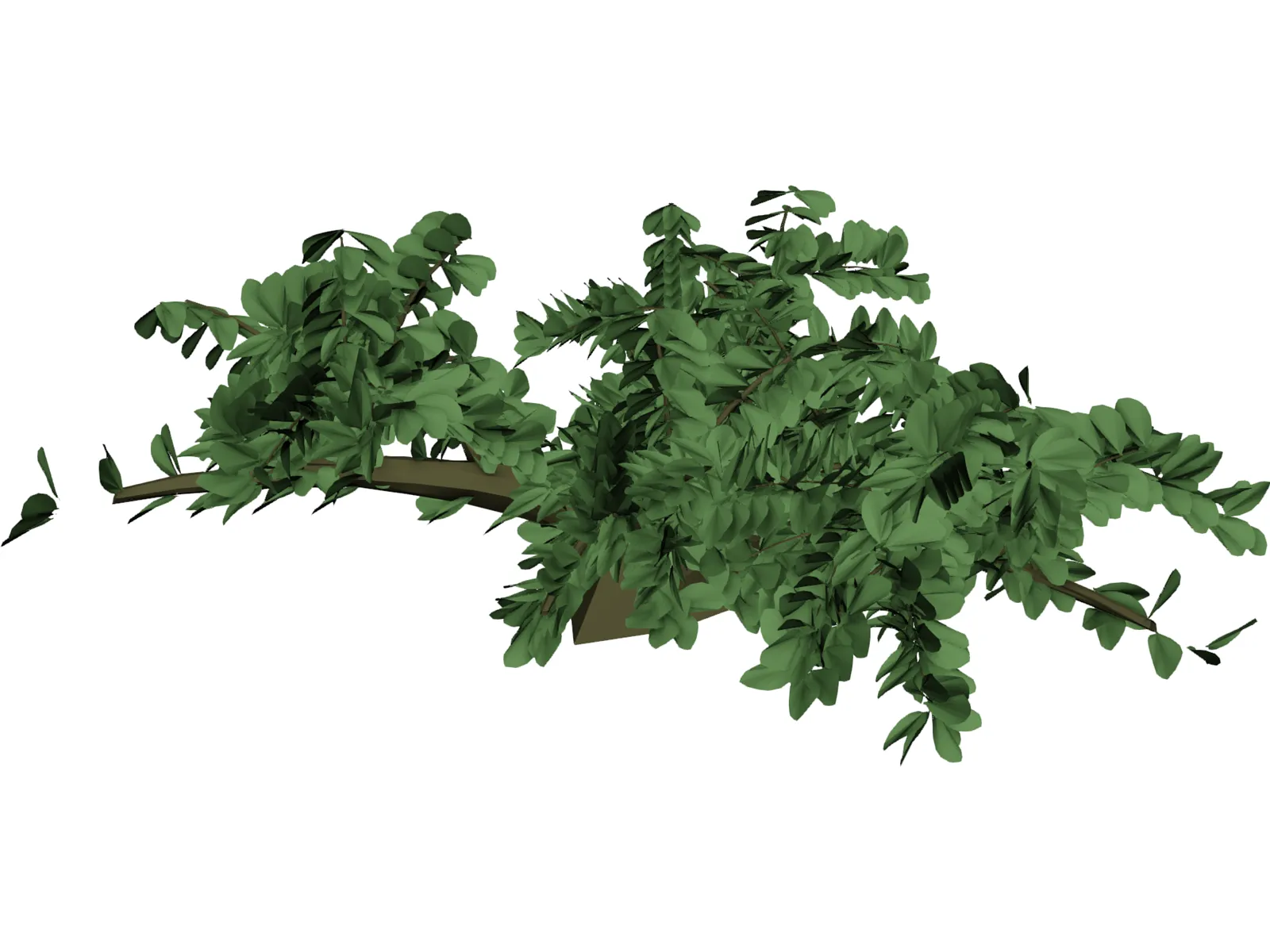 Tree 3D Model