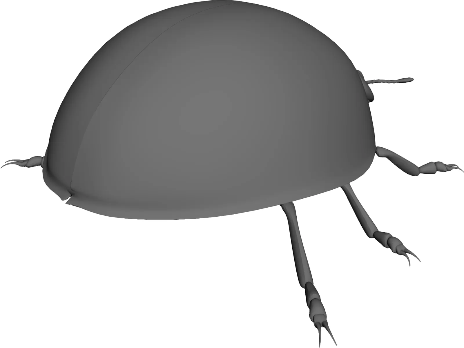 Ladybird 3D Model