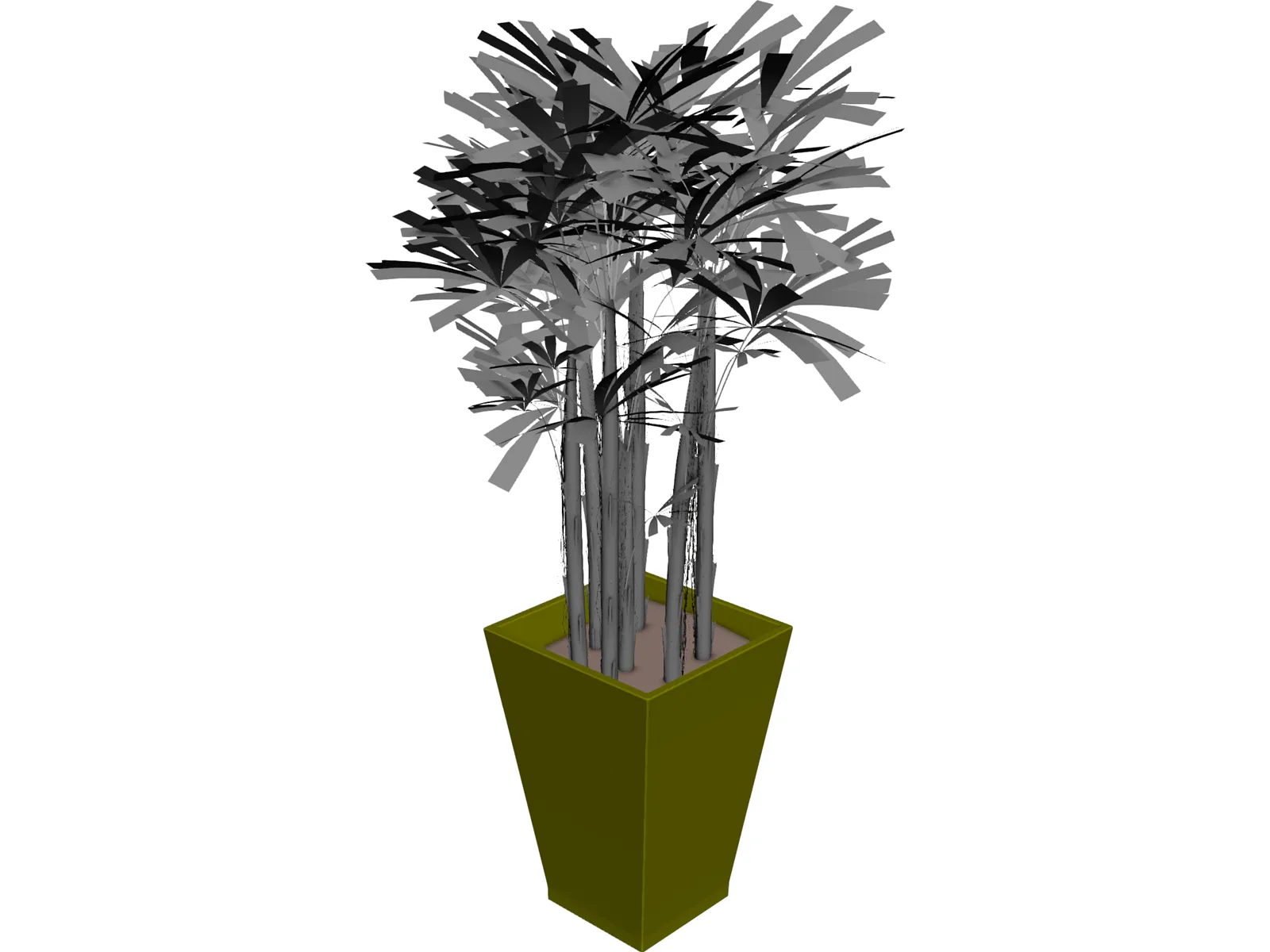 K-VG Rhapis B 3D Model