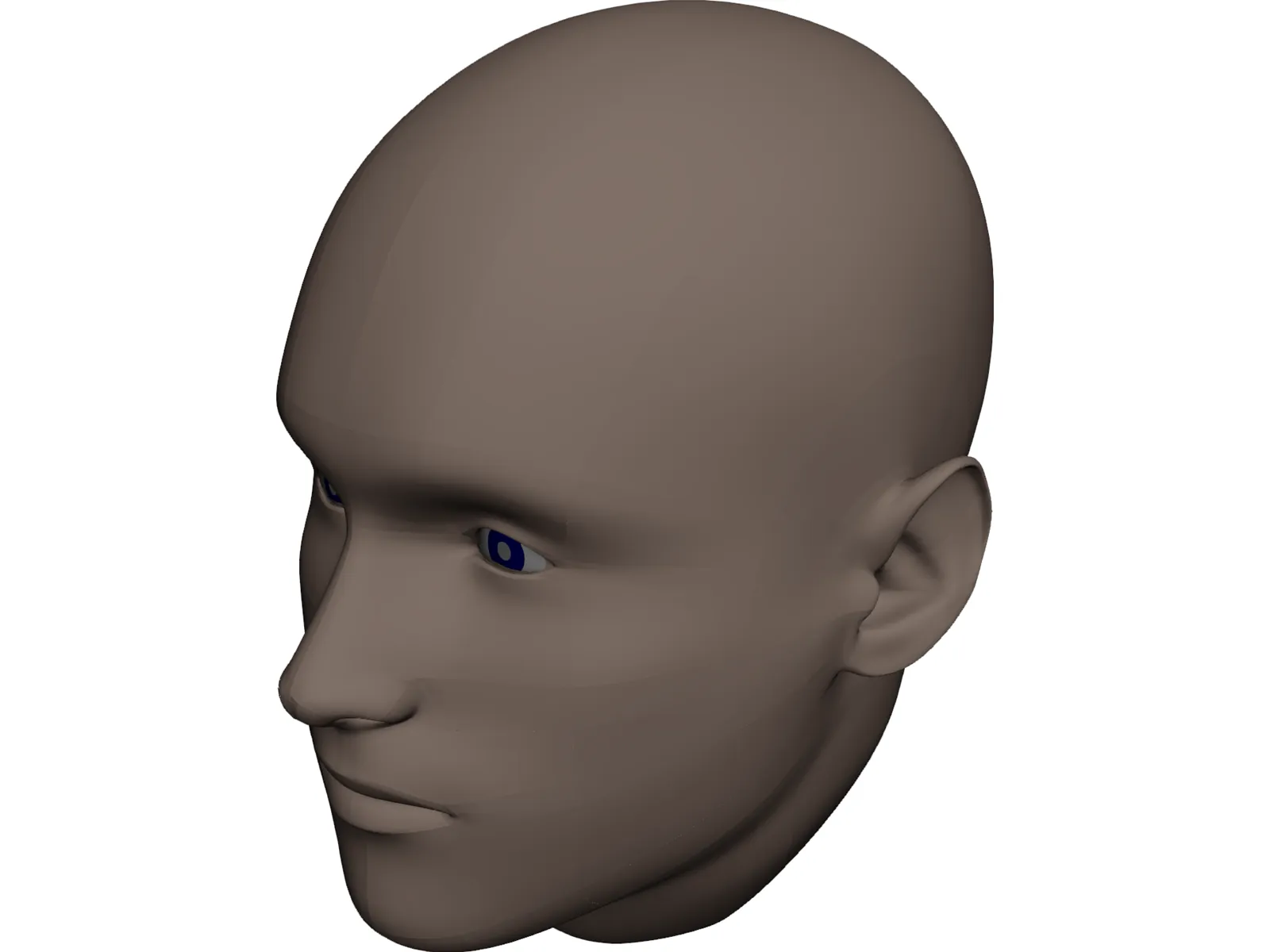 Human Head 3D Model