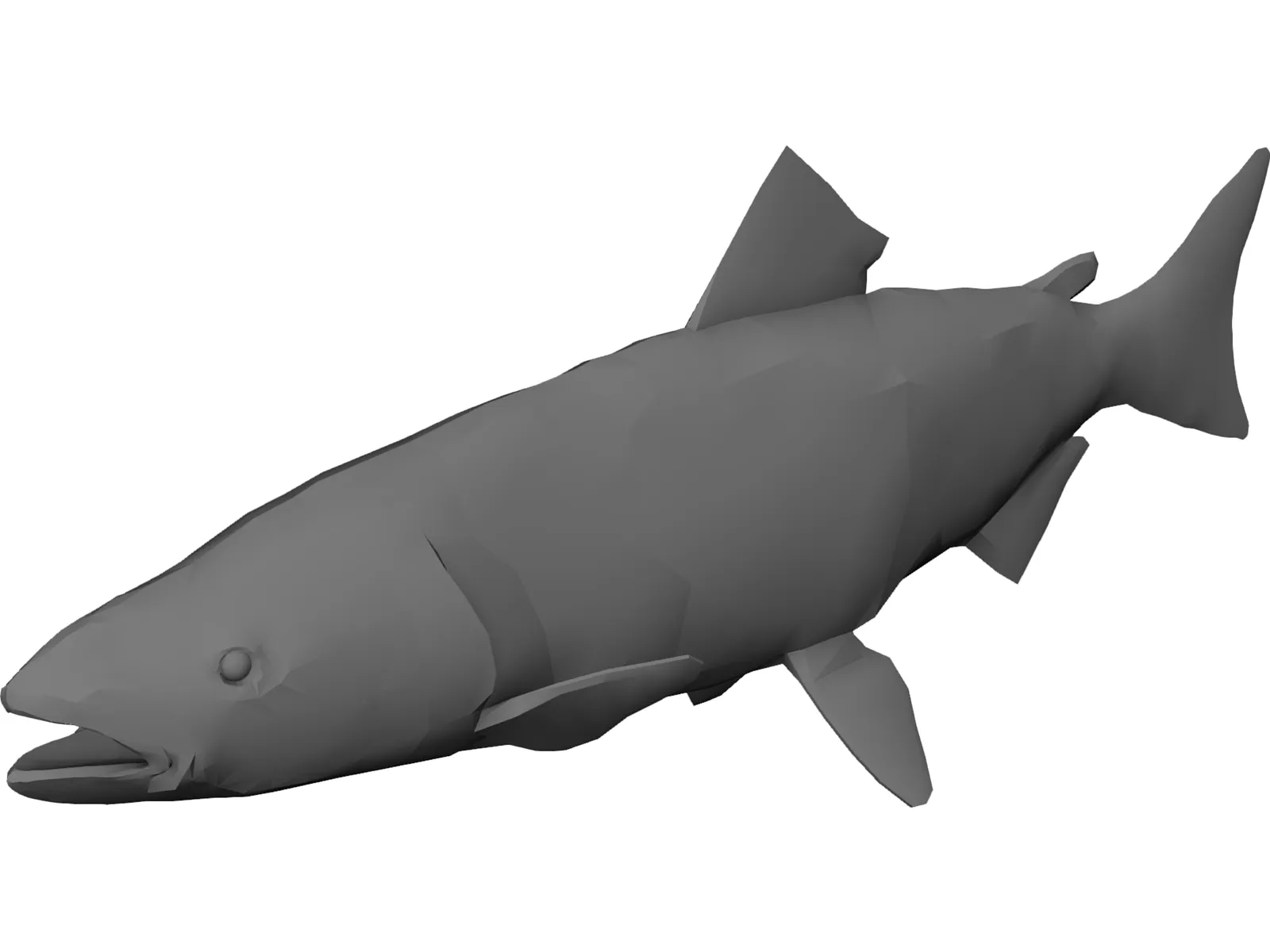 Salmon 3D Model