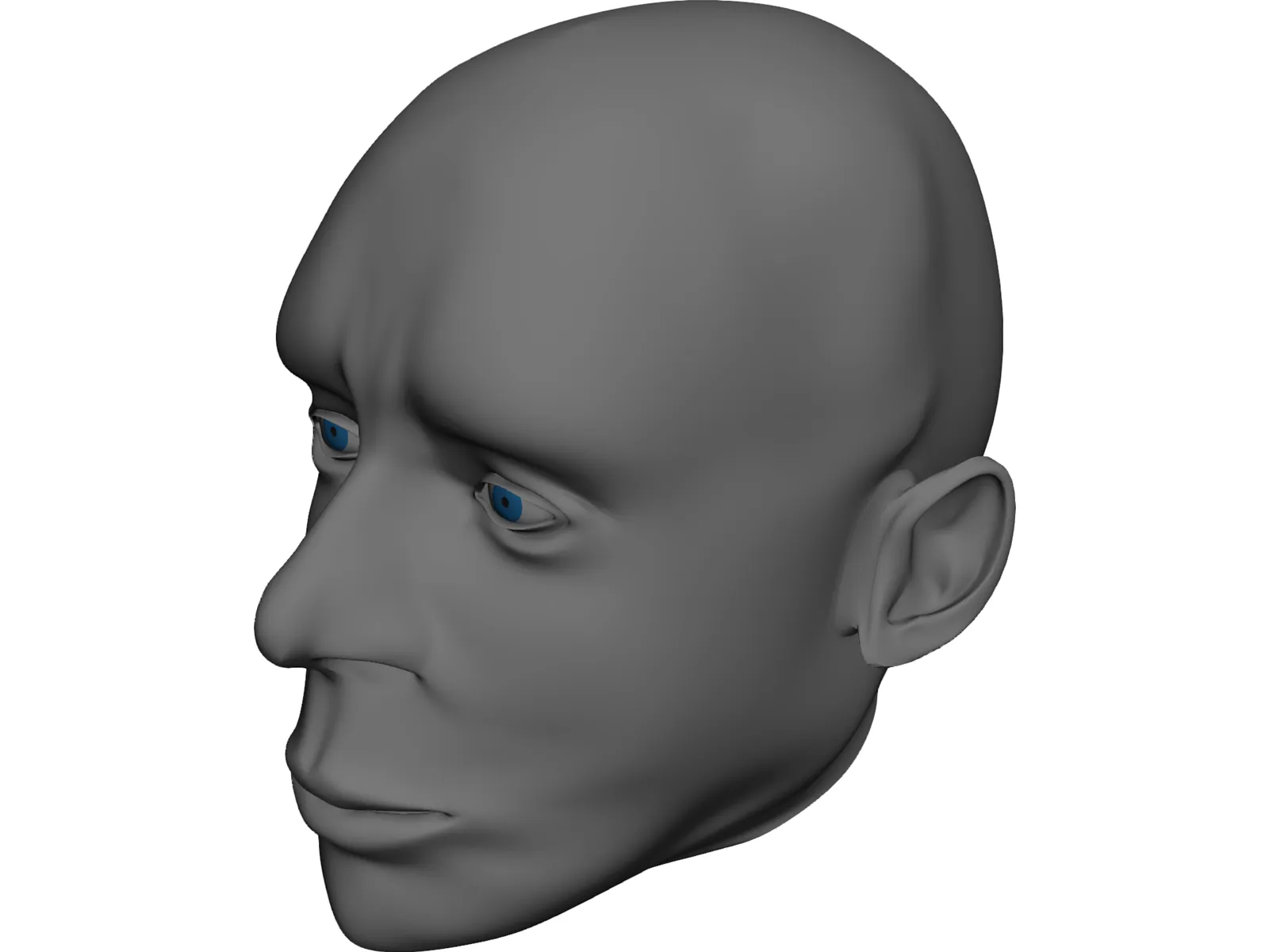 Head Male 3D Model