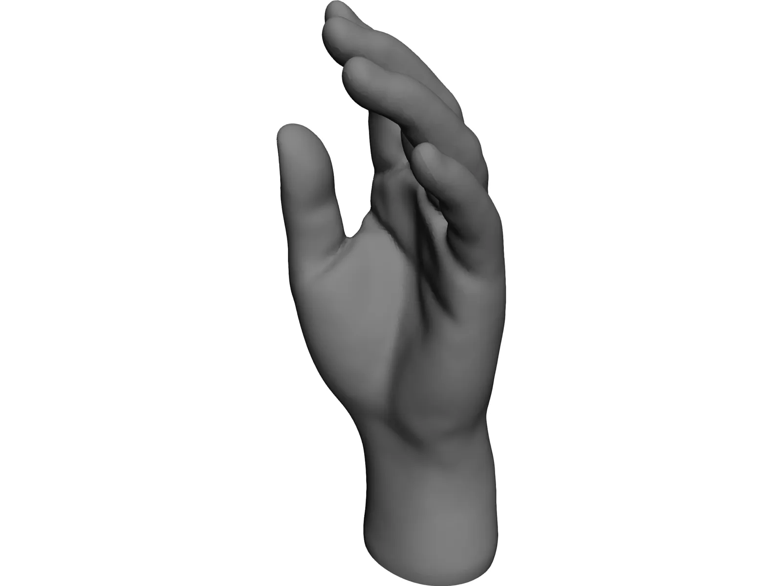 Hand 3D Model