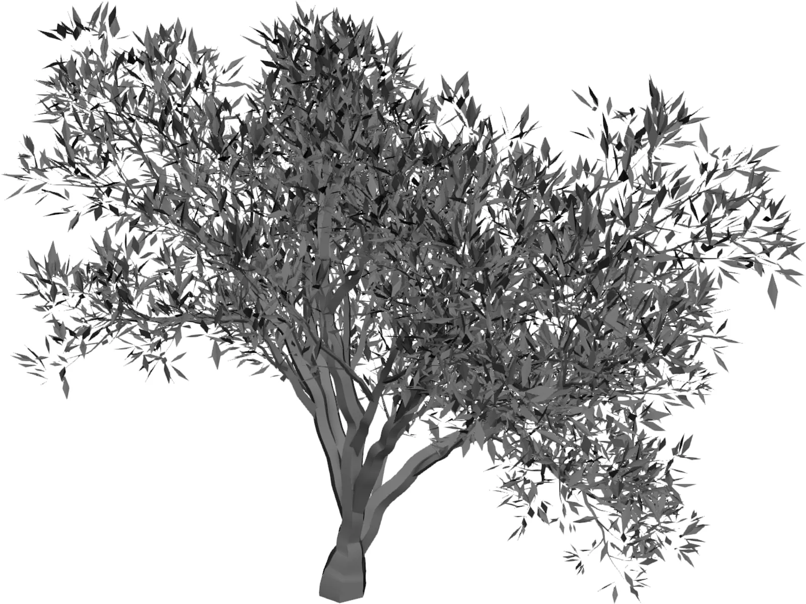 Olive Tree 3D Model