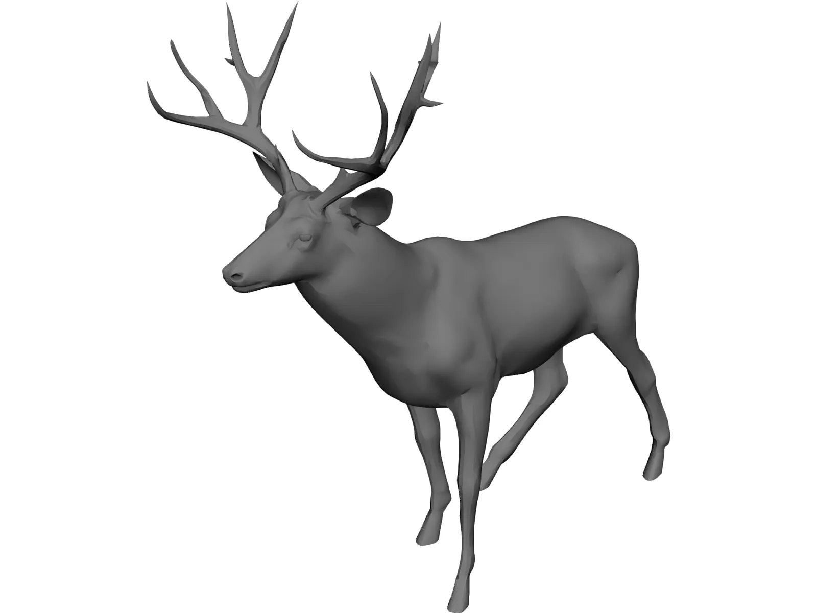 Stag 3D Model