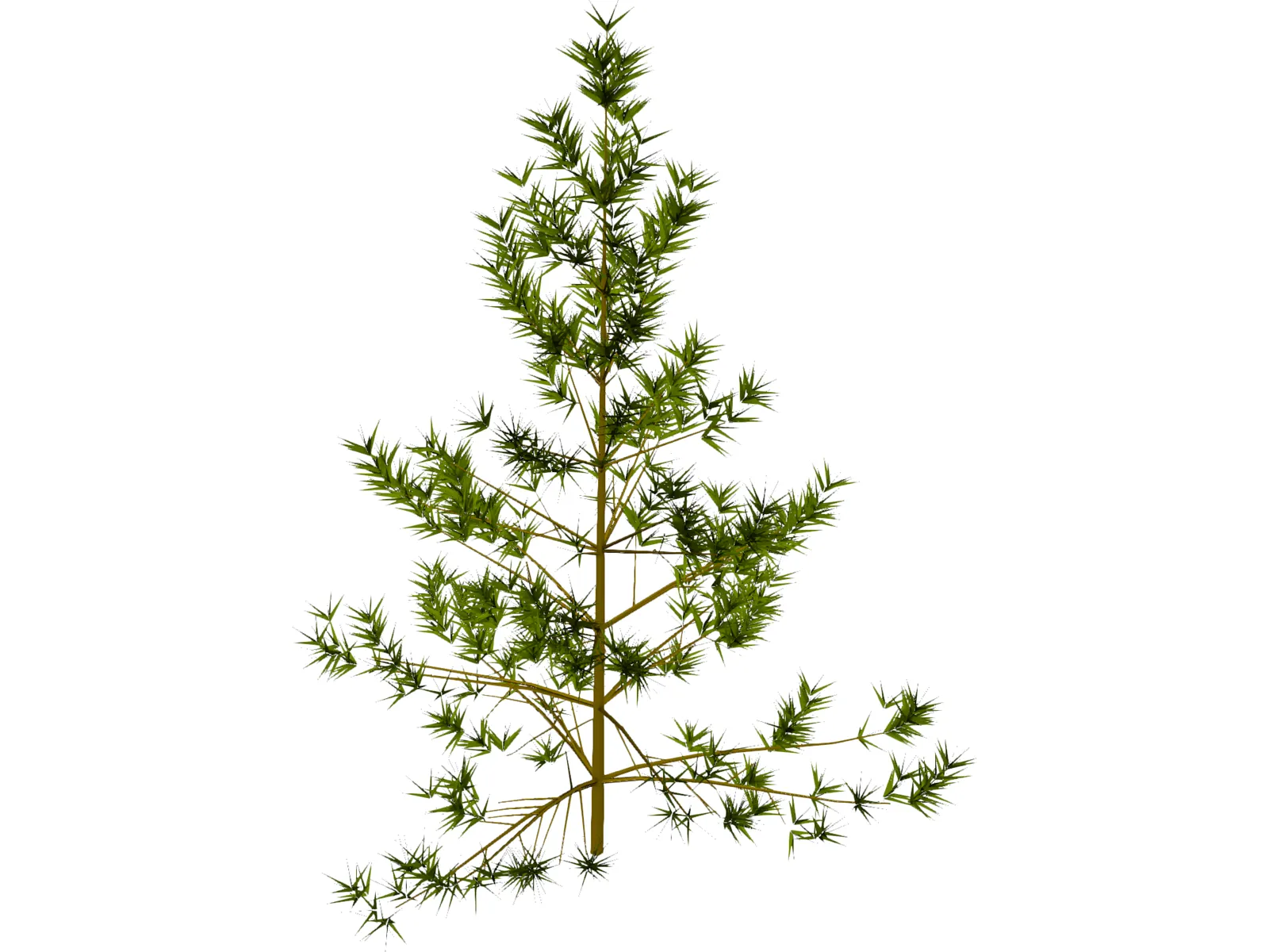 Pine Tree 3D Model