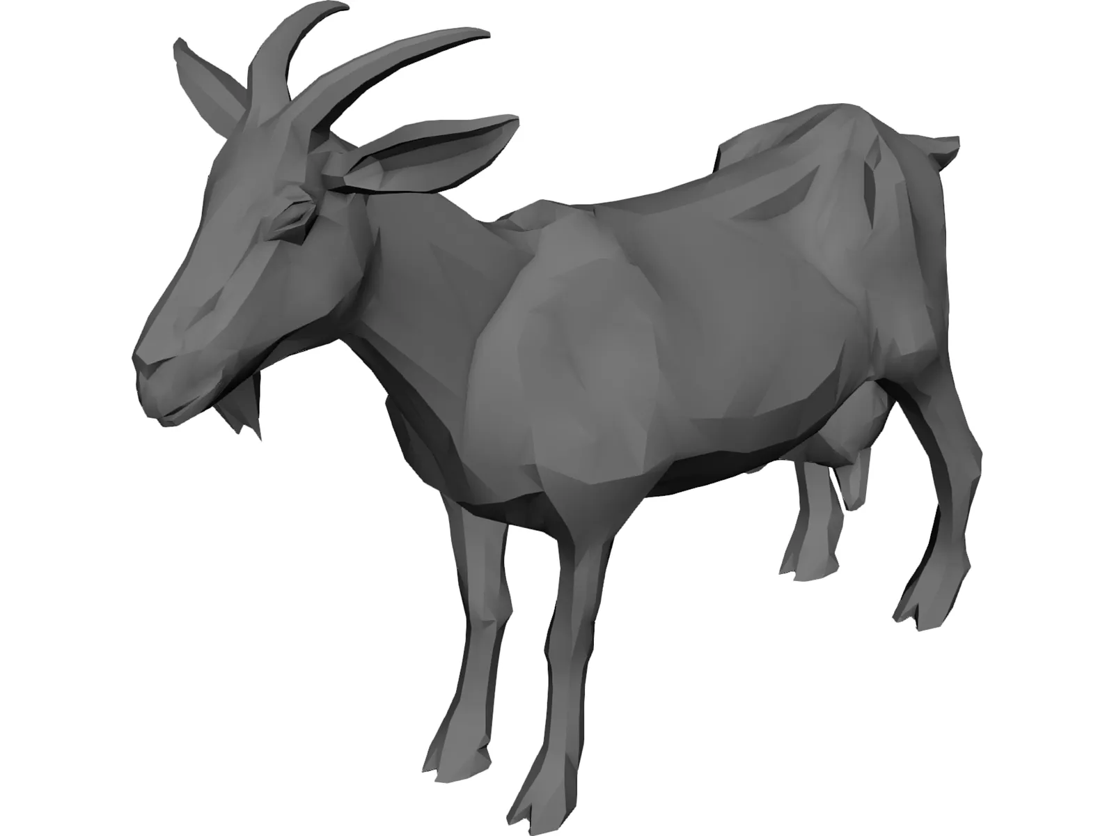 Goat 3D Model