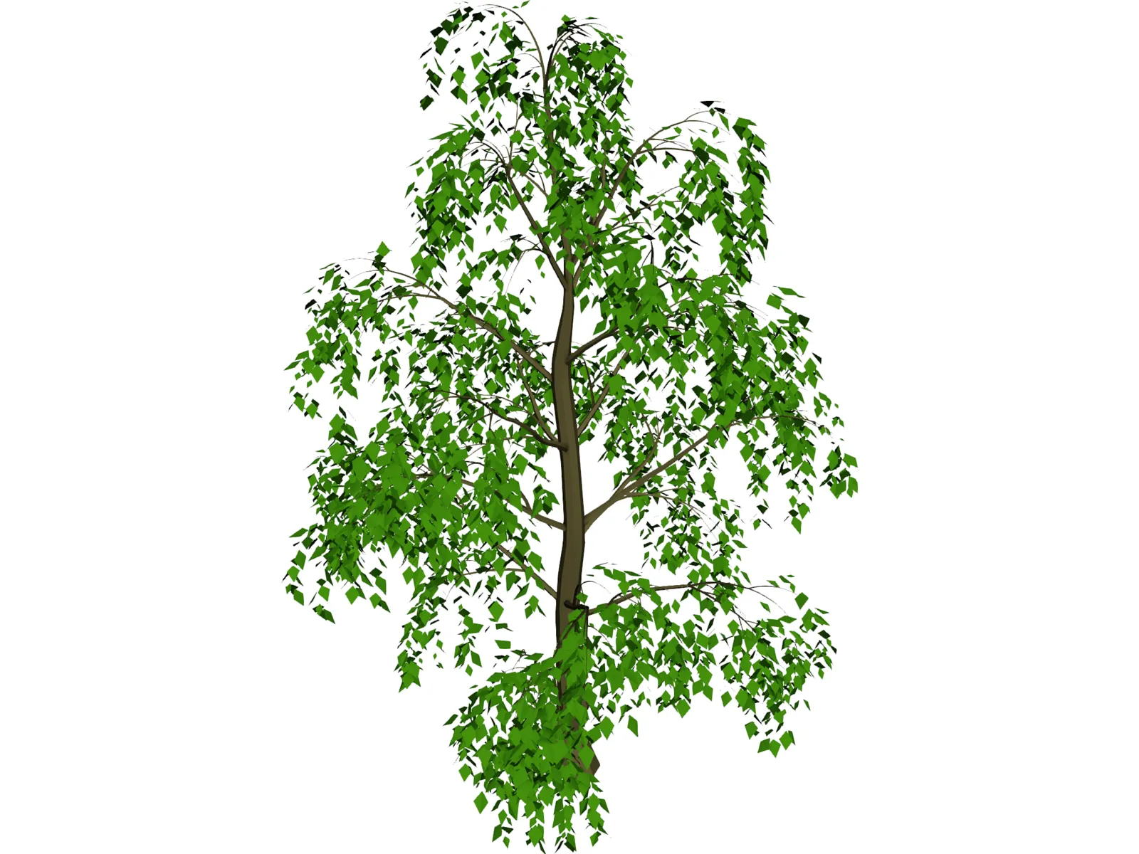 Tree 3D Model