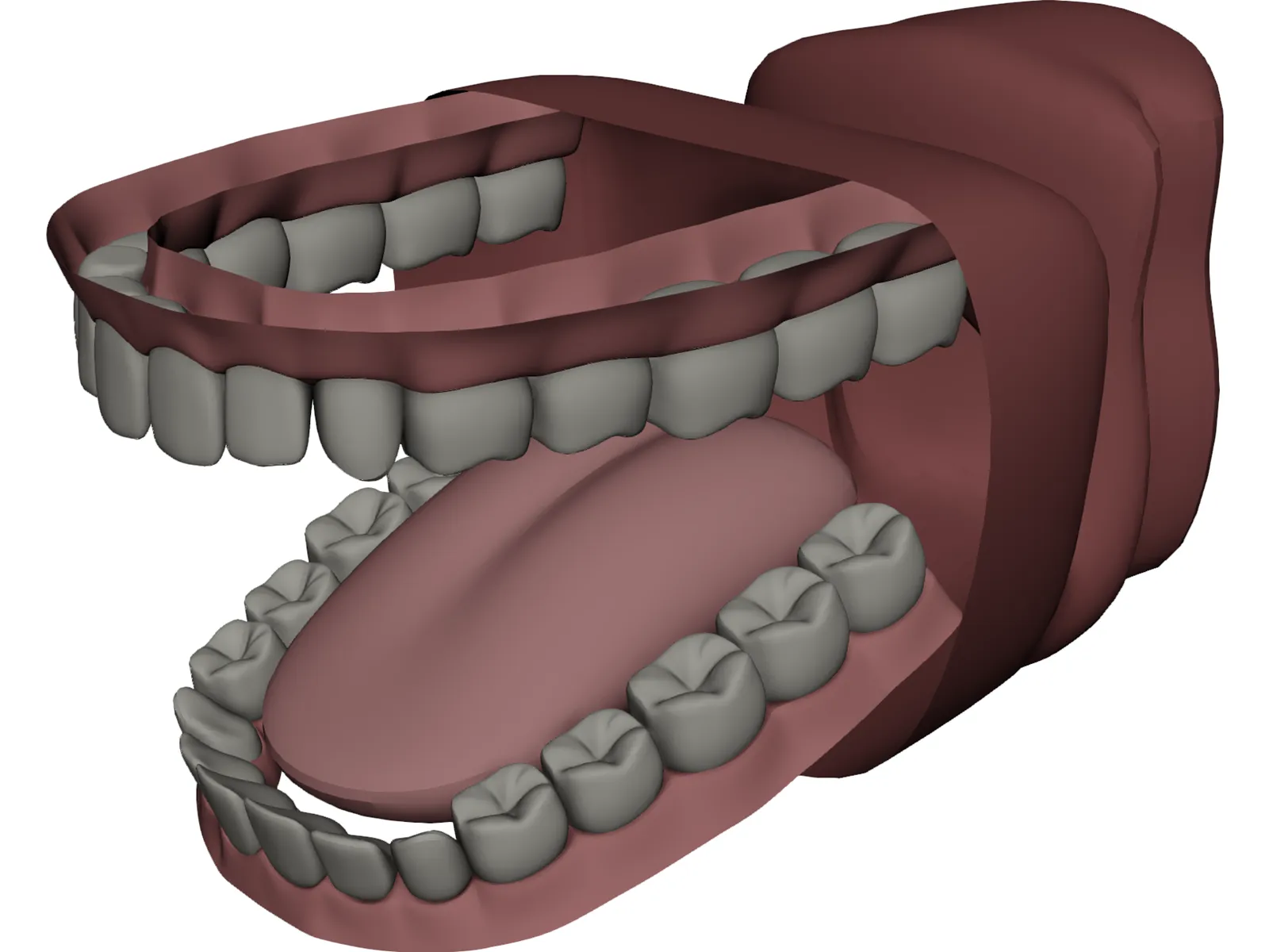 Mouth 3D Model