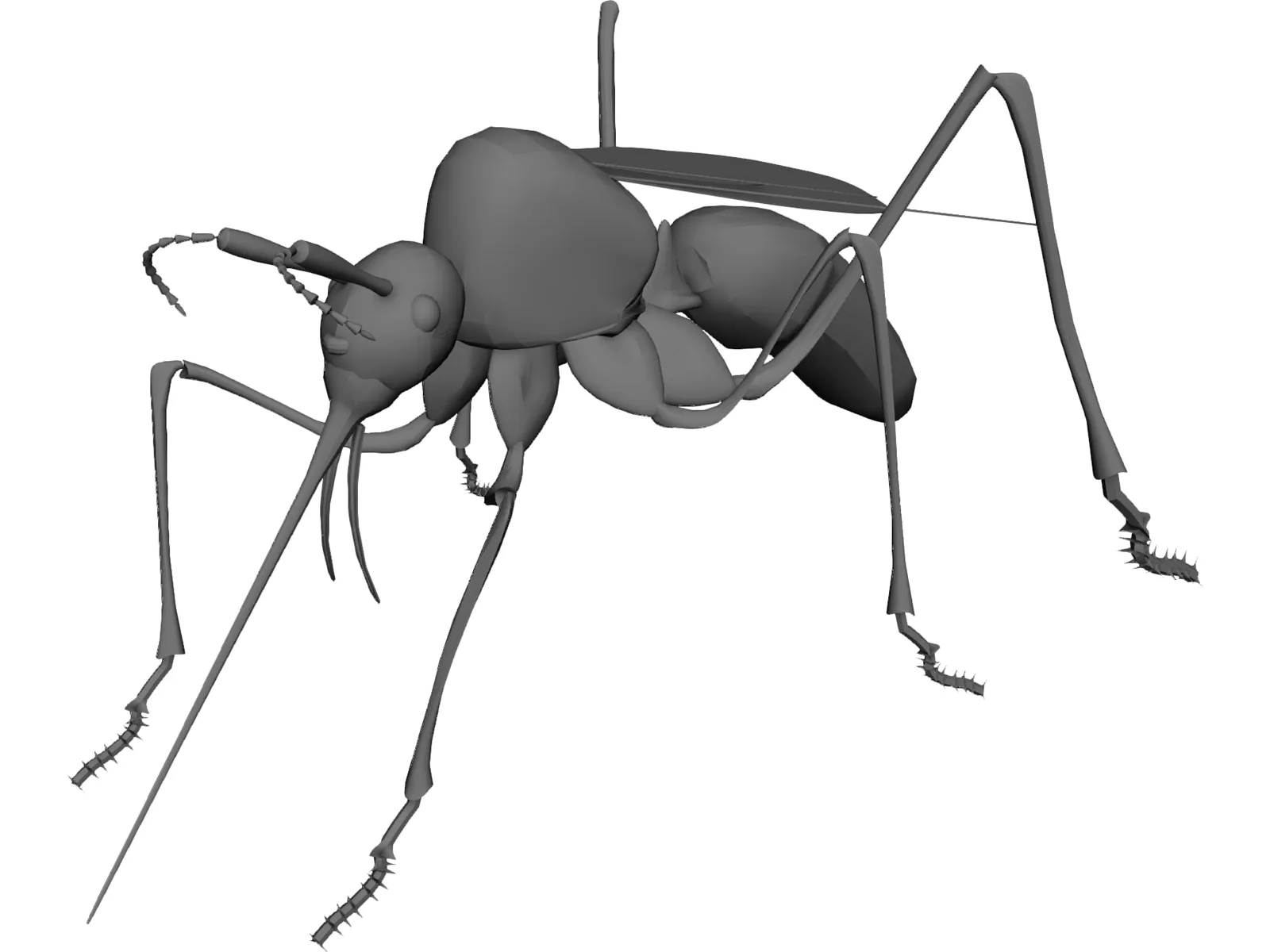 Mosquito 3D Model