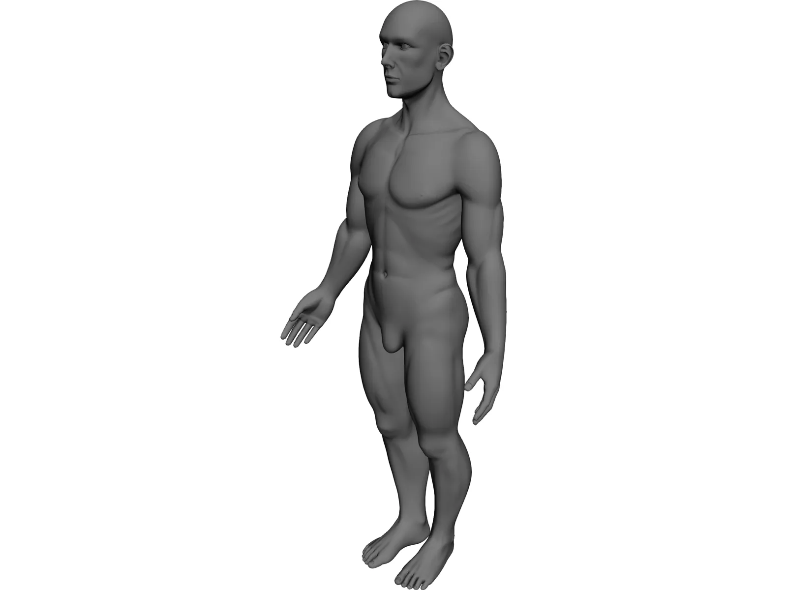 Man 3D Model