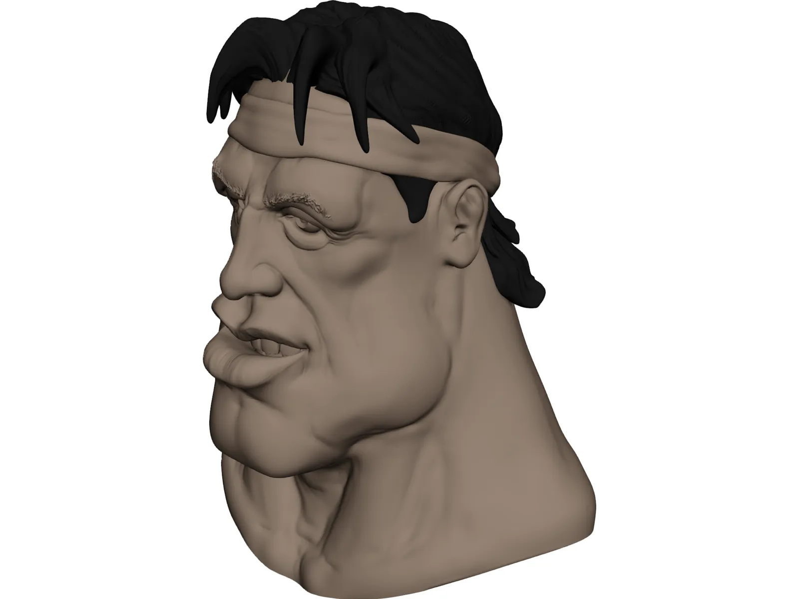 Face 3D Model