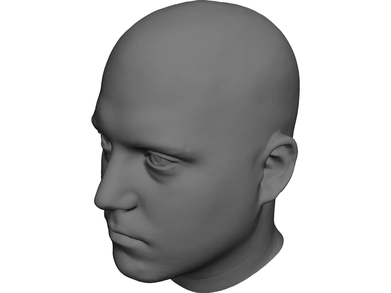 Human Male Scanned Head 3D Model