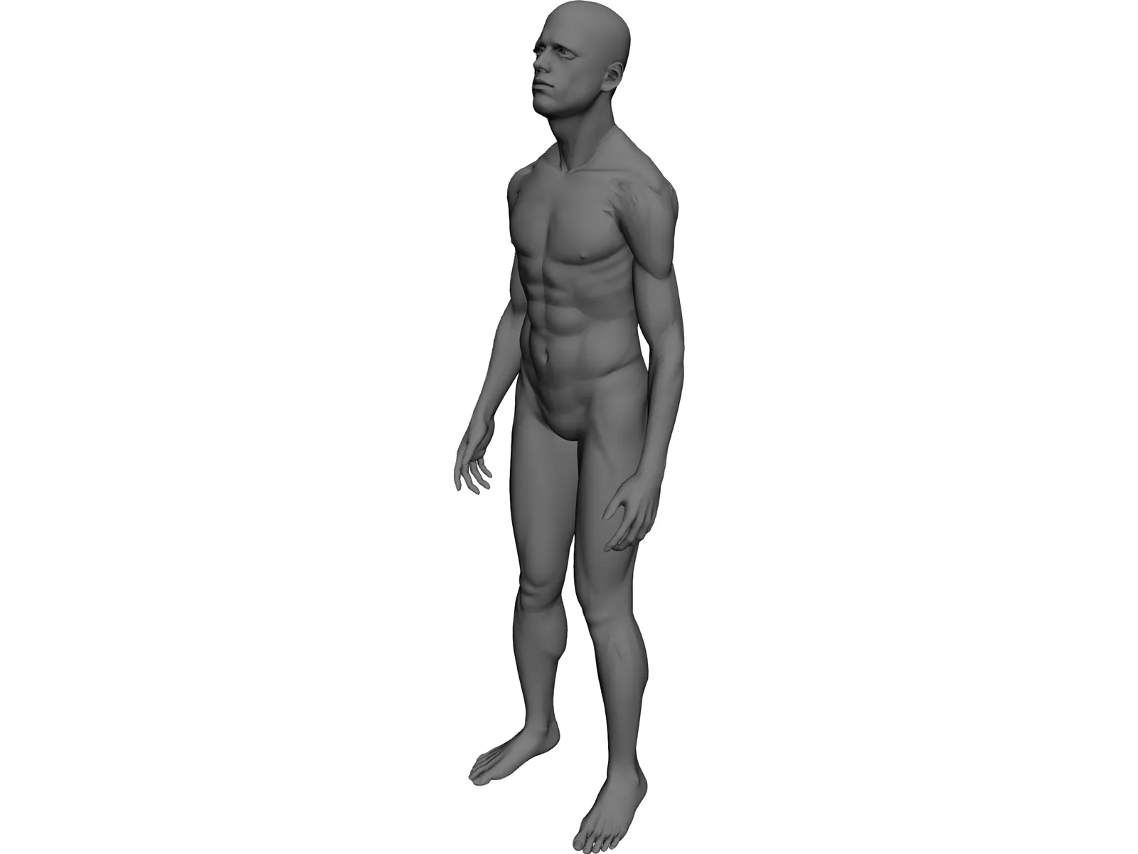 Man Human 3D Model