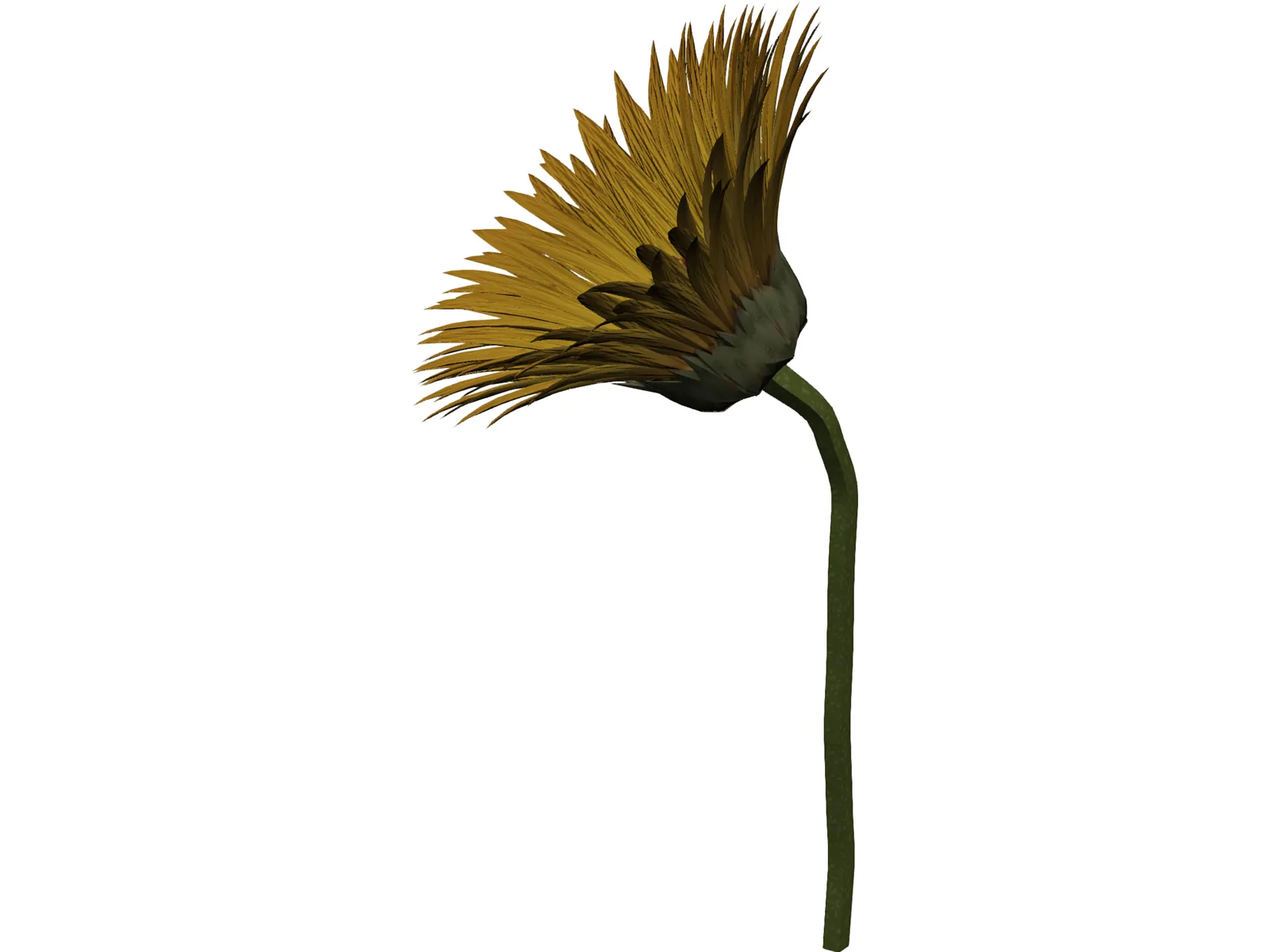 Sunflower 3D Model