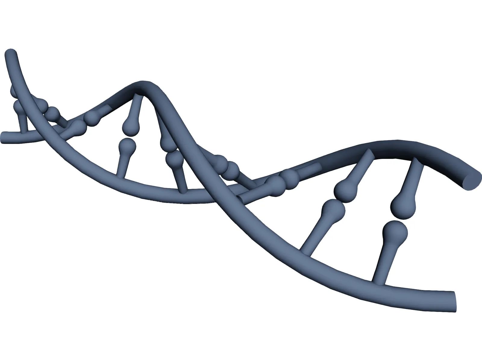 DNA 3D Model