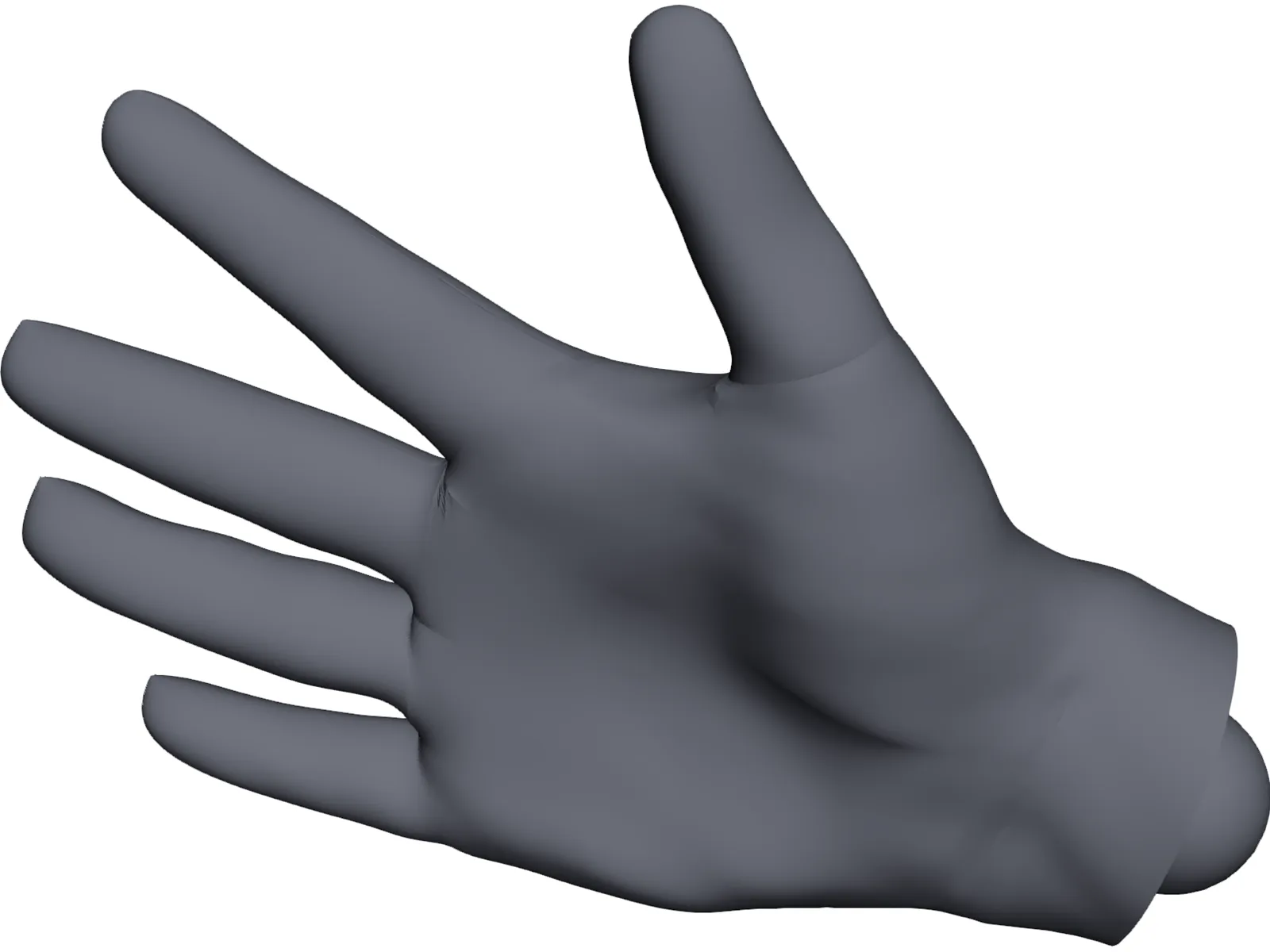 Human Hand 3D Model