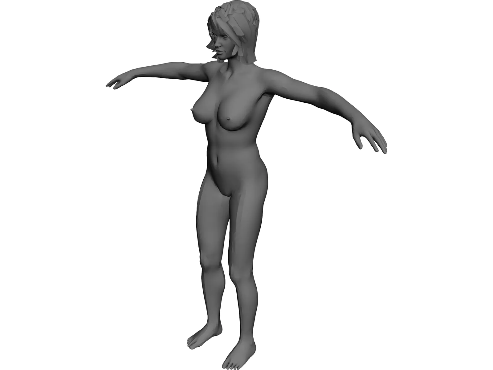 Female Anatomy Complete 3D Model