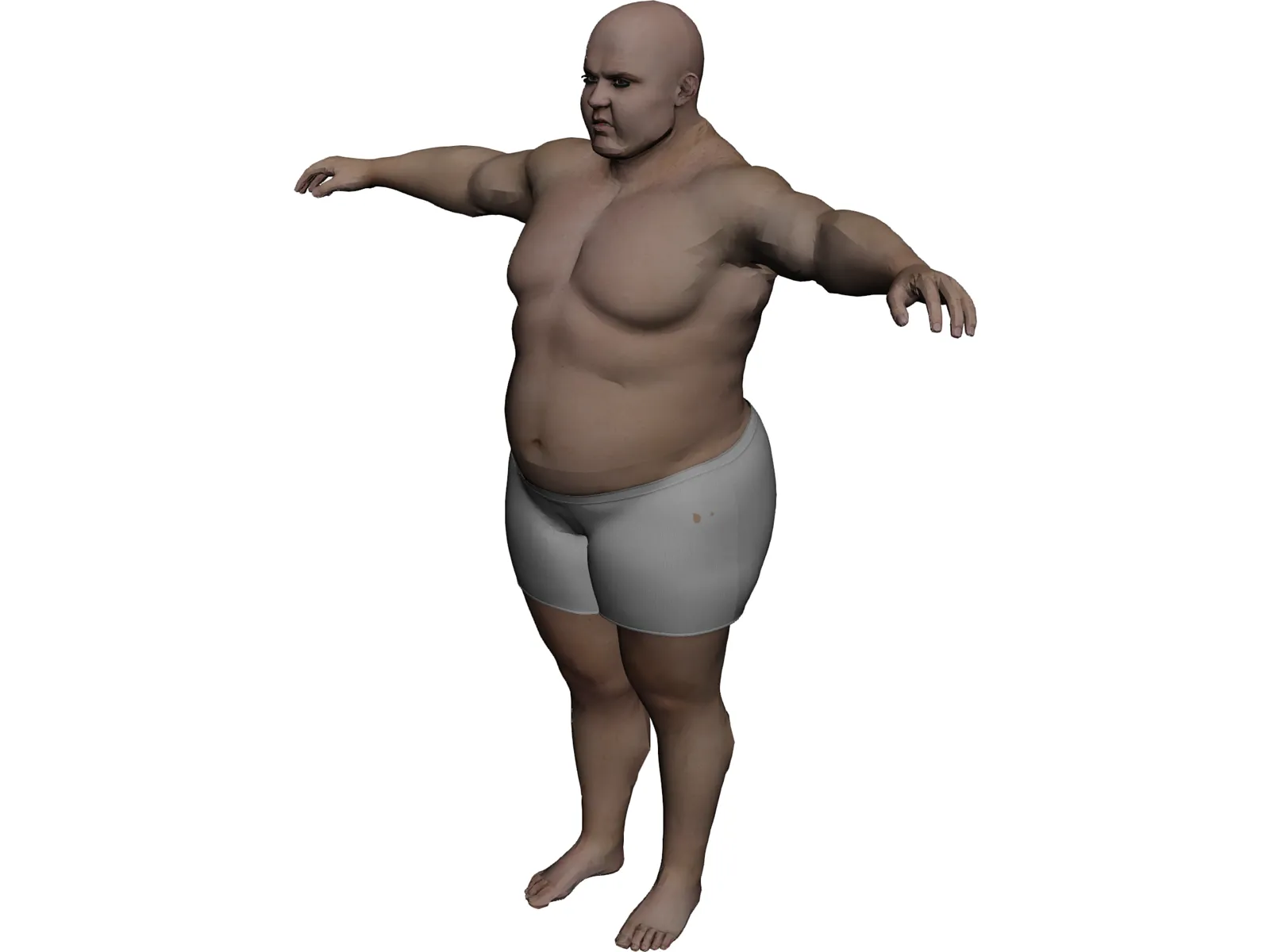 Fat Catcher 3D Model